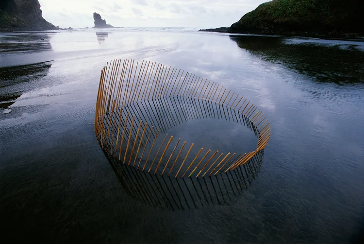 Title: Rising Circle