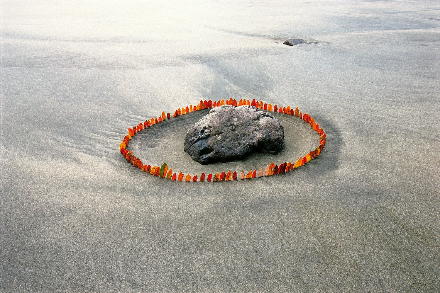 Title: Encircled Stone