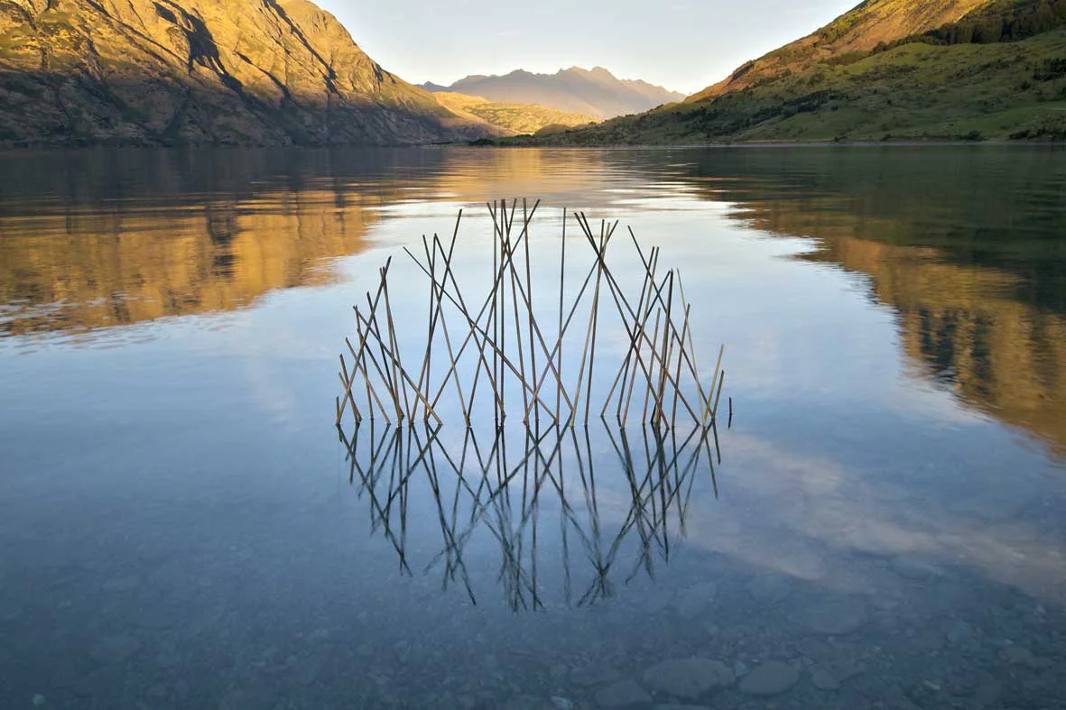 Title: Sunrise Circle