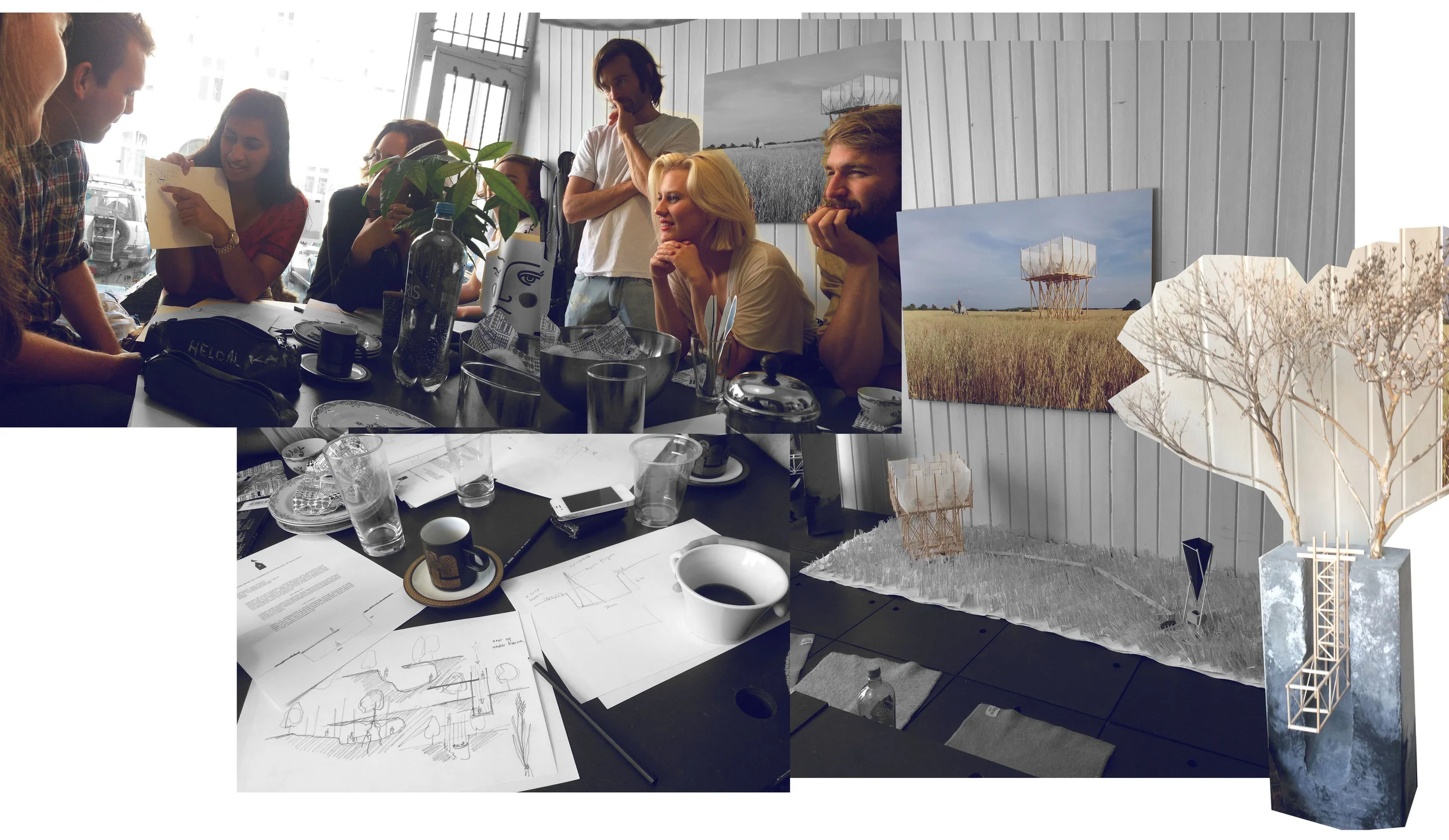 Collage Gartnerfuglen: Andrea Ellefsen
