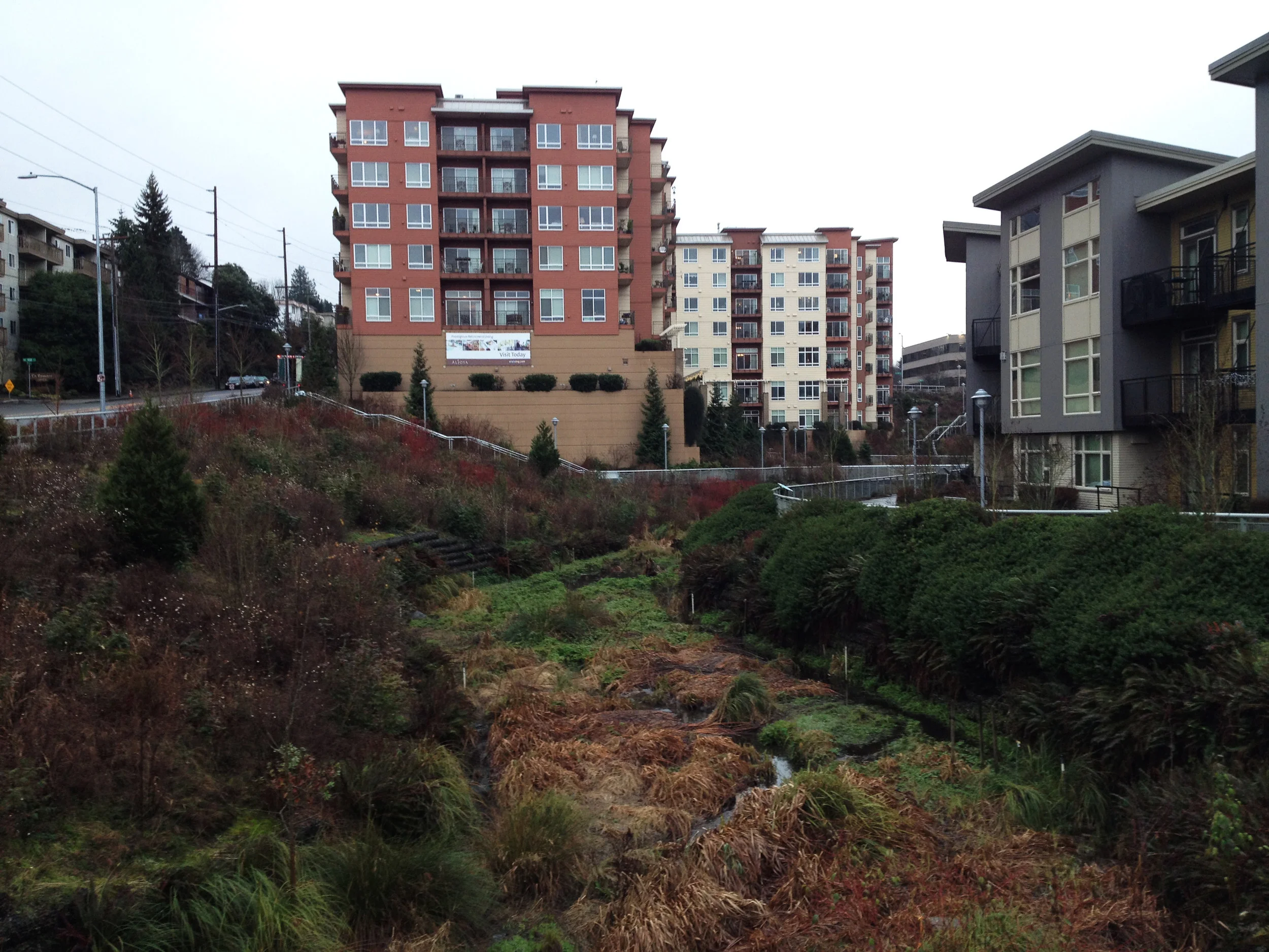 Thornton Creek, Seattle. Foto: Vaar Bothner