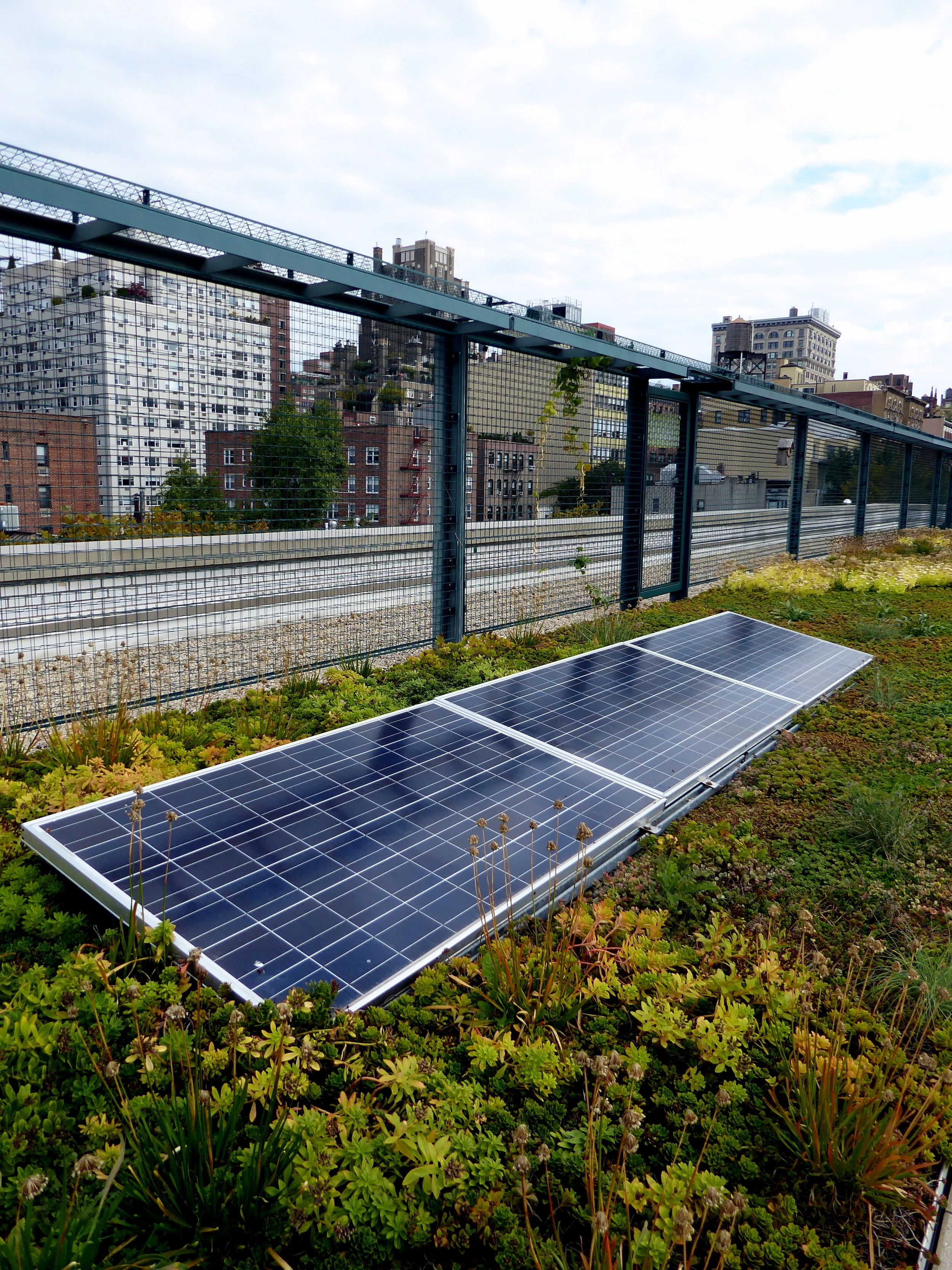 Solceller i kombinasjon med grønne tak gir mer effektiv energiproduksjon enn solceller alene. Foto: Aloha Jon