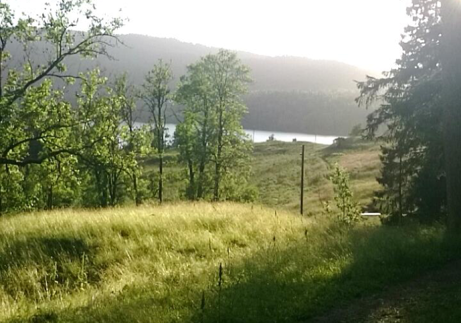 Grønne omgivelser gir en rekke påviste helseeffekter. Hverdagens bekymringer renner av meg mens jeg tråkker meg vei langs velkjente stier rundt mitt barndomshjem.