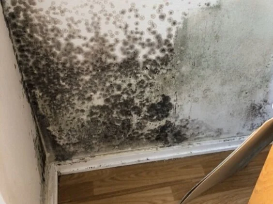 "Velkommen til min drittleilighet!" – KOTE har møtt aktivistene bak den brennhete Instagramkontoen 