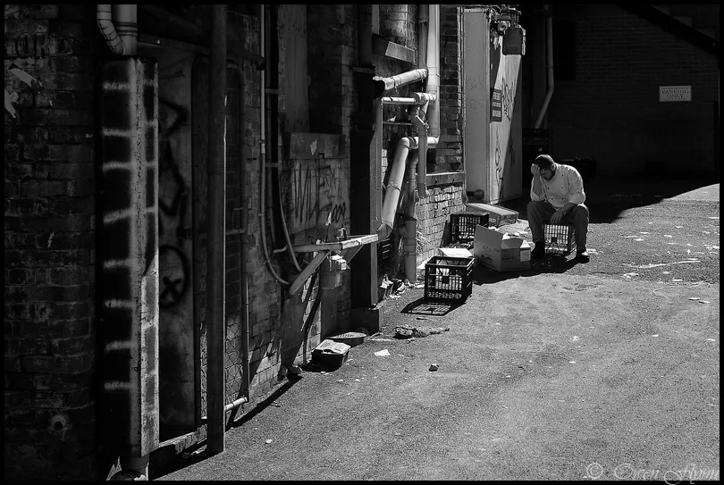 Enviro - 2014 project