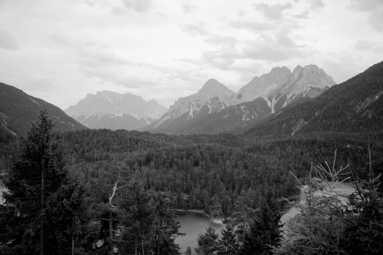 _DSC2973.jpg