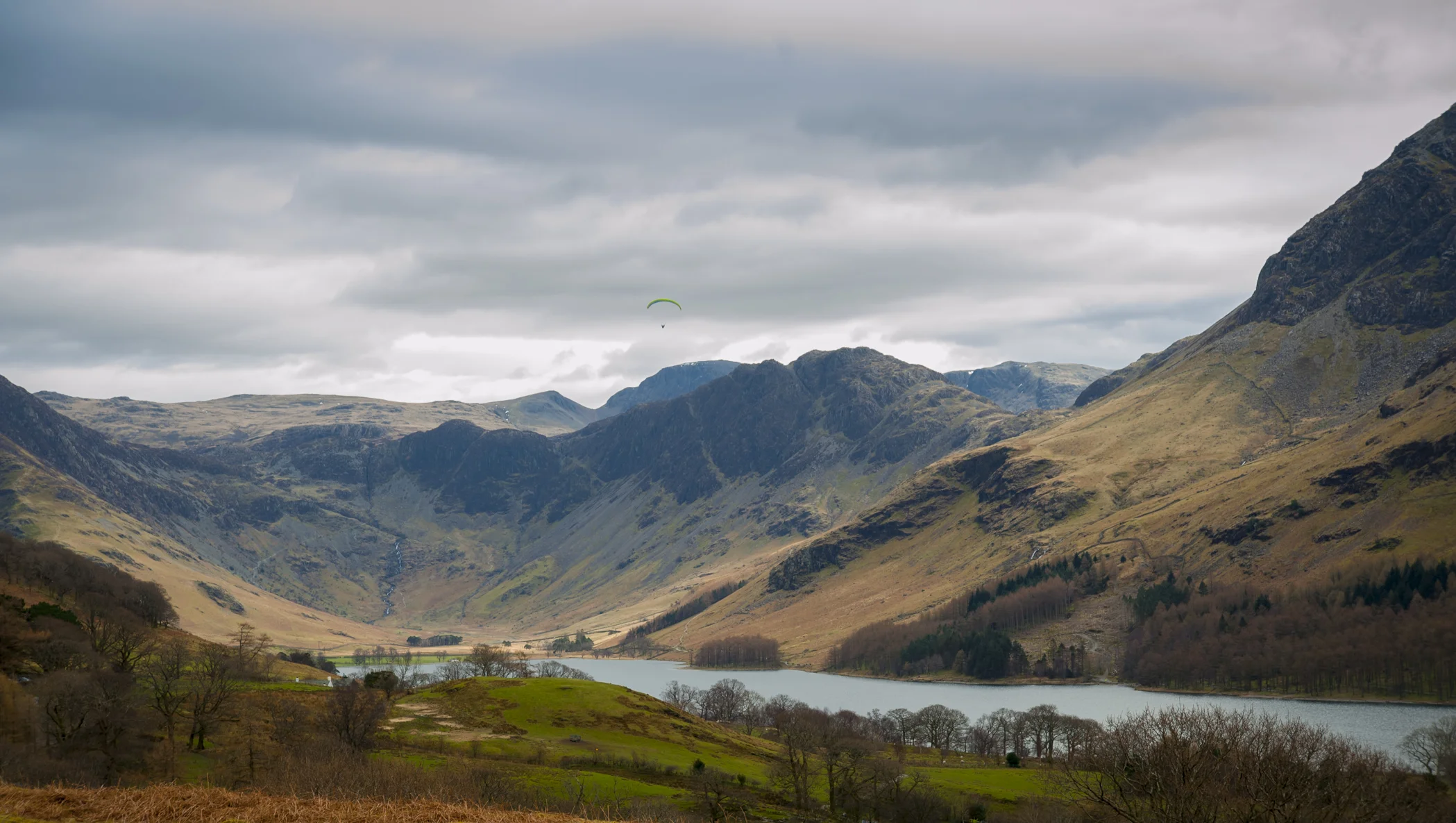 _DSC6008.jpg