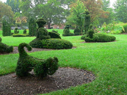 Columbus Topiary Madness Columbus Oh My Fave Places