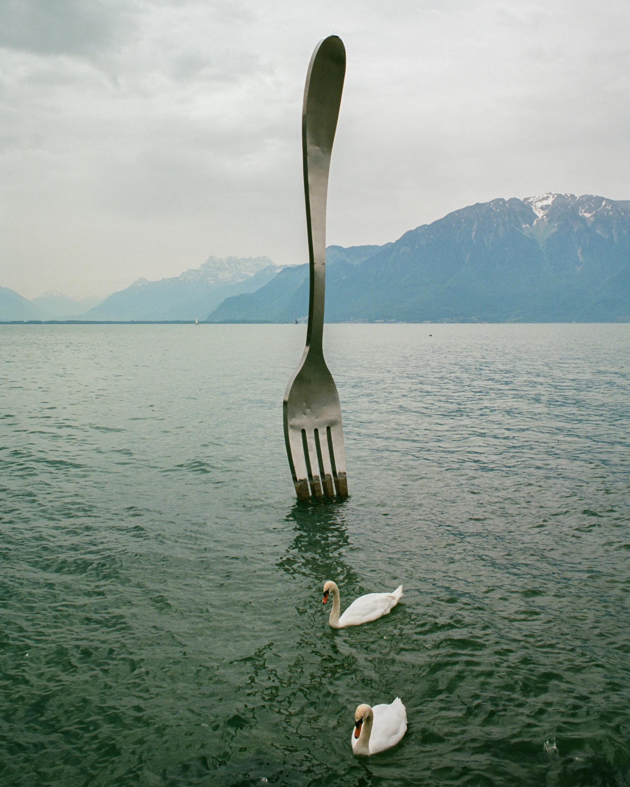 The Fork of Vevey on Lake Geneva. Kodak Porta 160 Film
