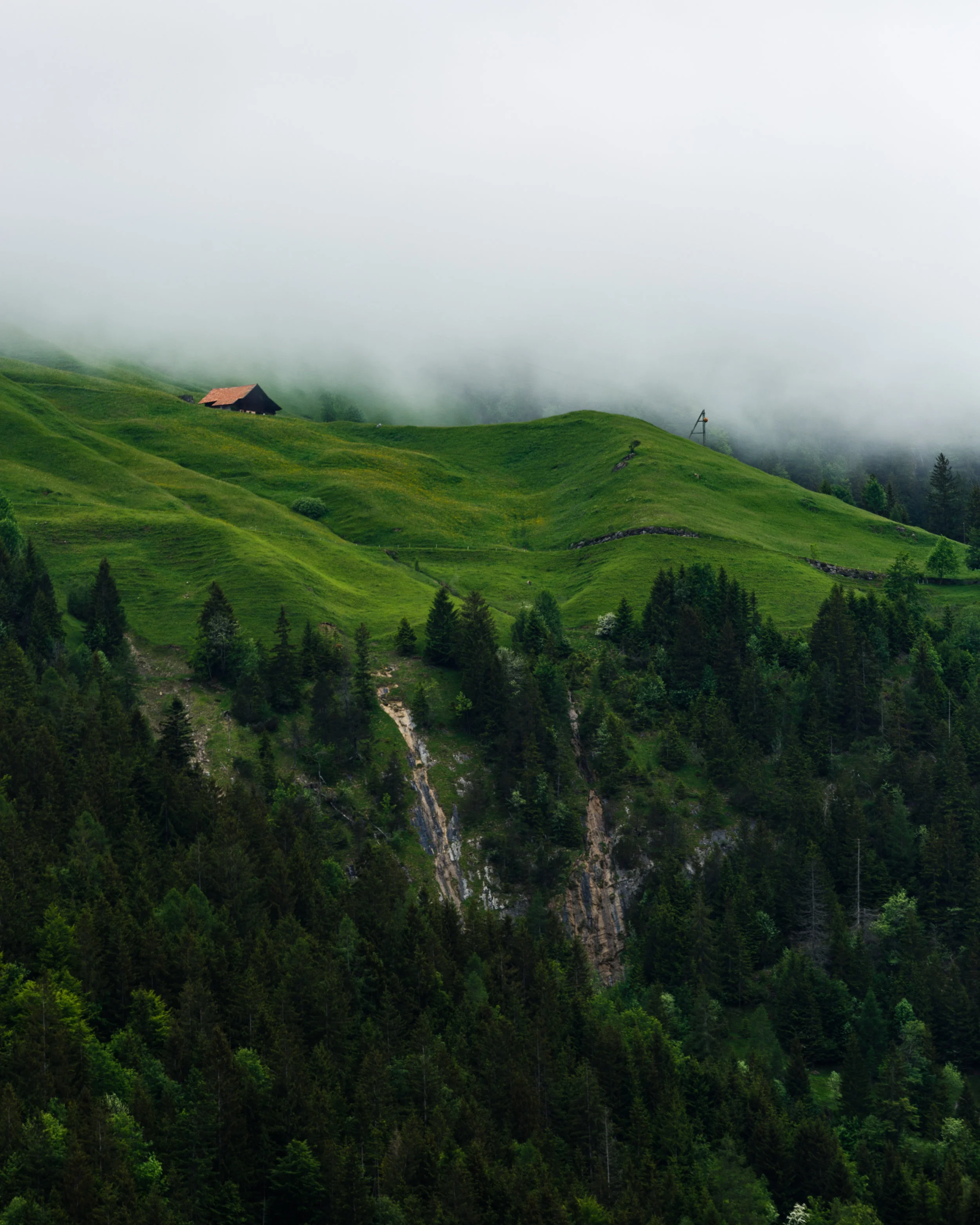 MAAndre -20180529-MAA_7964.jpg