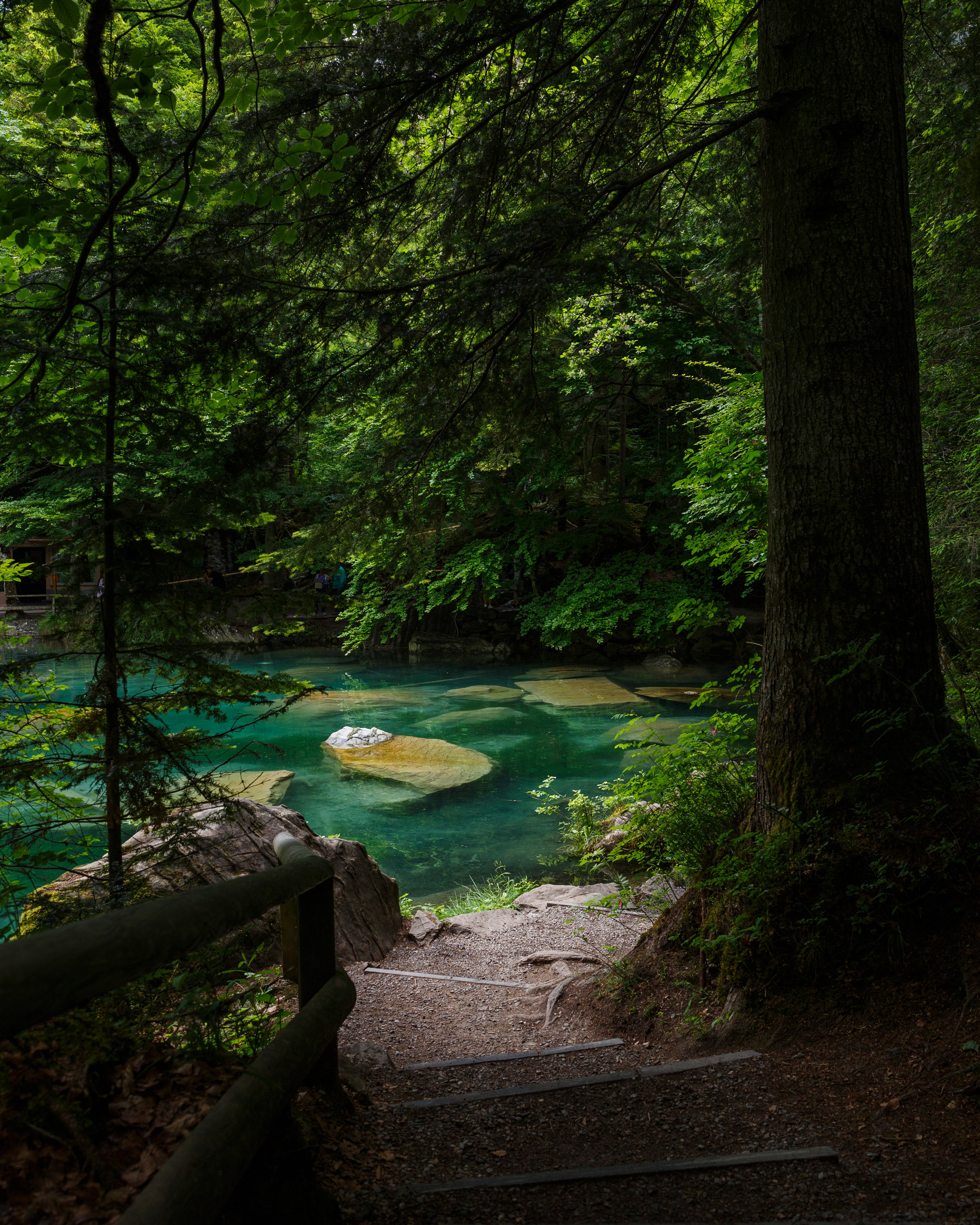 MAAndre -20180529-MAA_7998.jpg