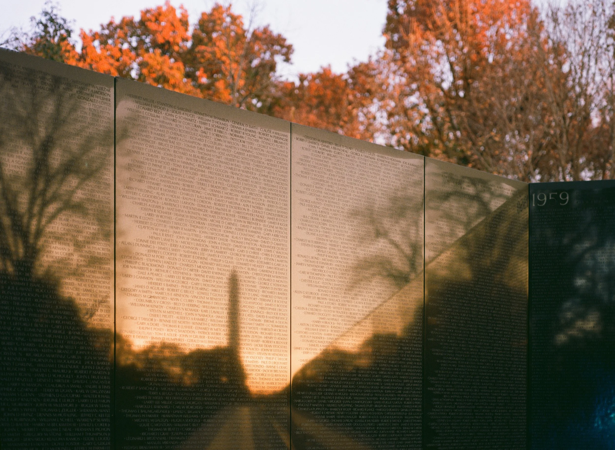 9868_0012.jpg