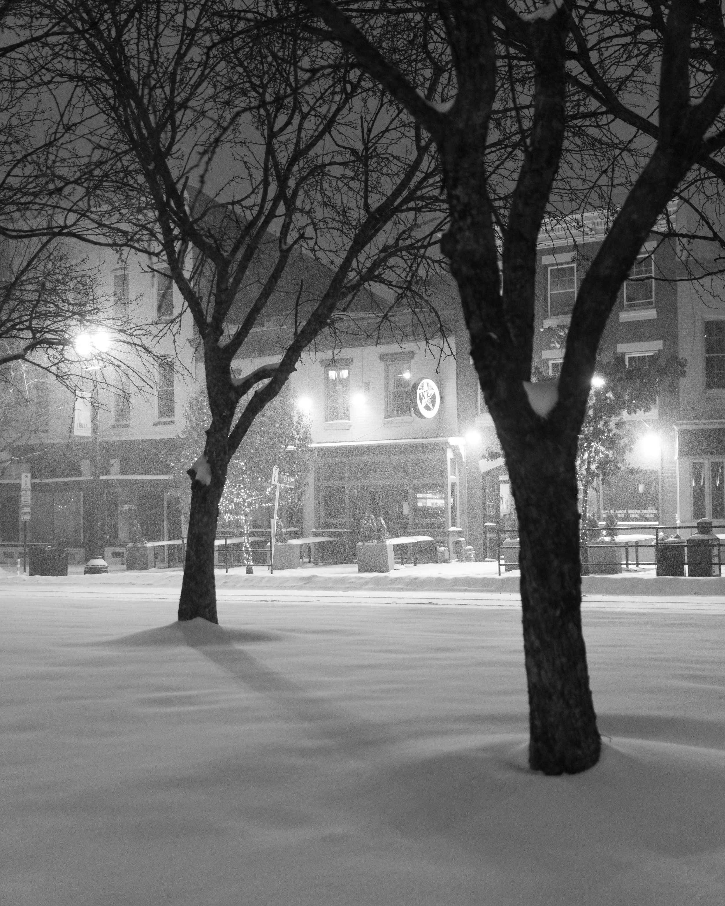 MAAndre -20260125-MAA_2587.jpg