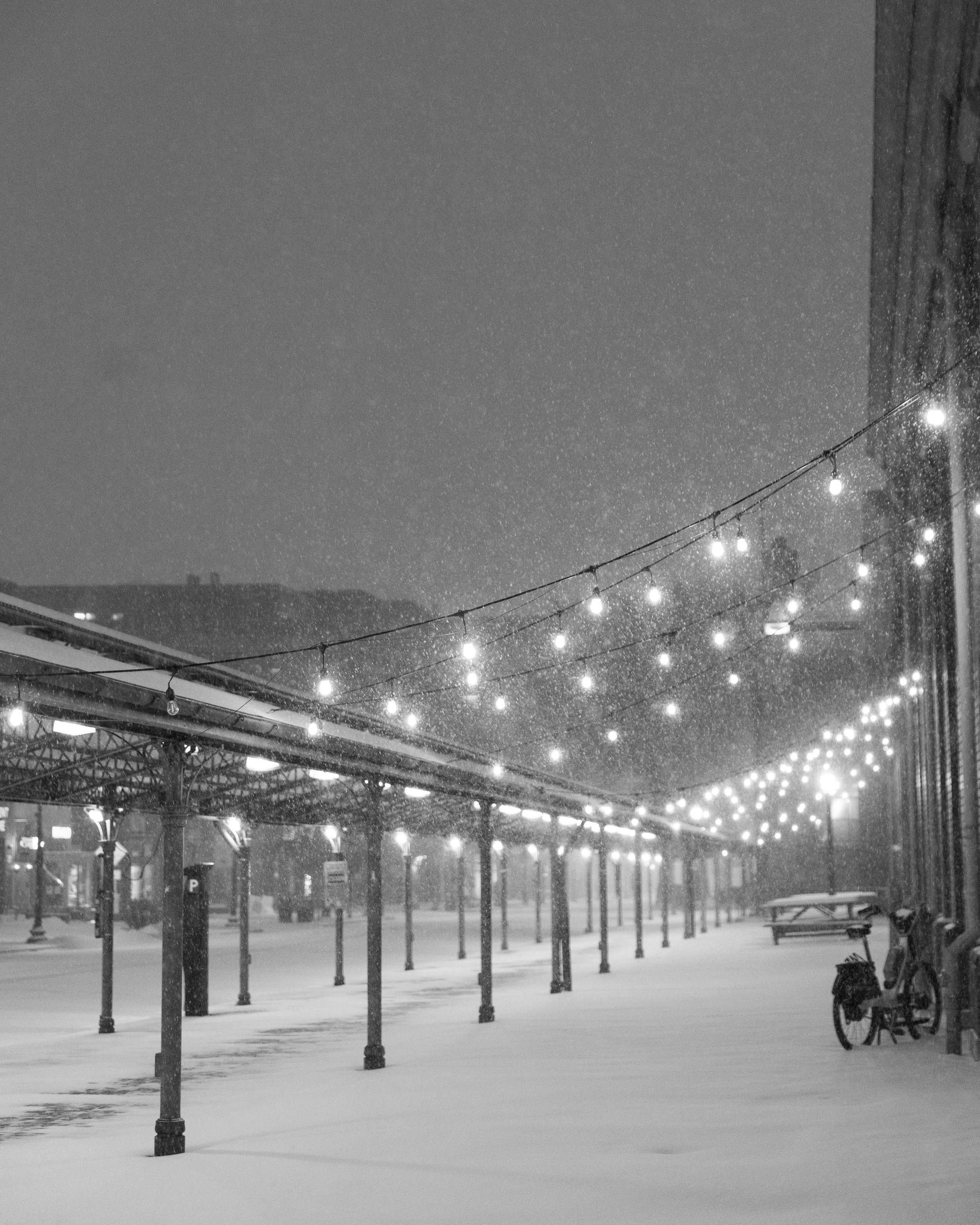 MAAndre -20260125-MAA_2021-2.jpg