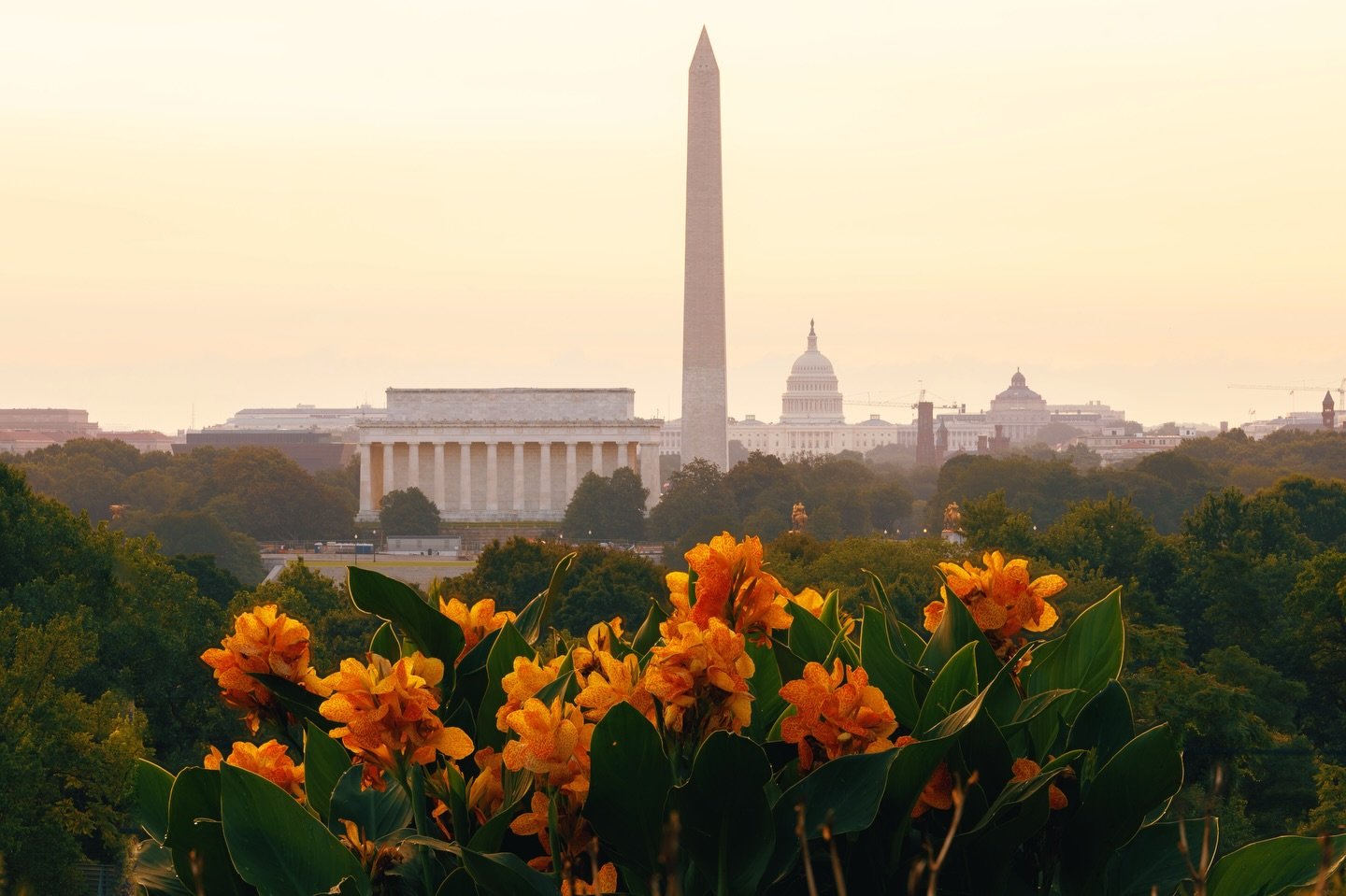 Spring Mornings.
.
.
.
.
.
#capitalweather #dcchasers #dcitystyle #dctography #igdc 

 All Rights Reserved 

@canonusa EOS R // RF100-500