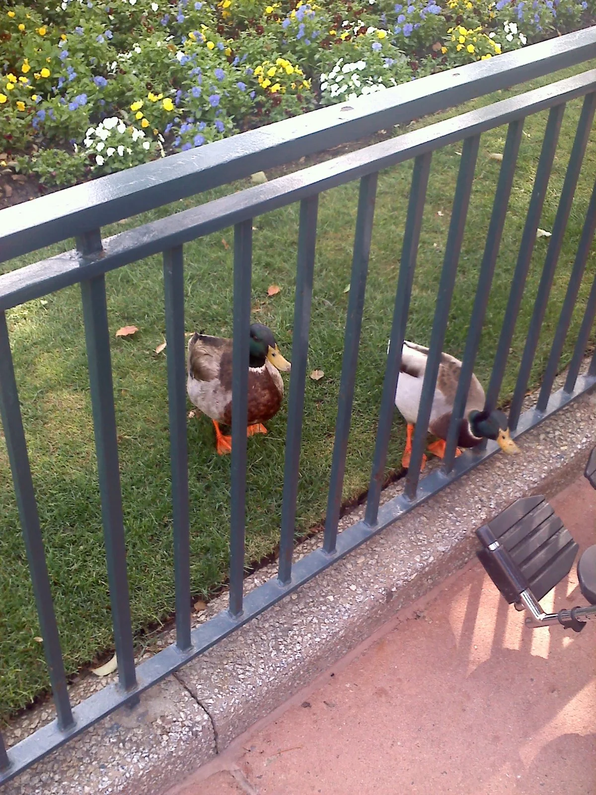 20120309134637.jpg
