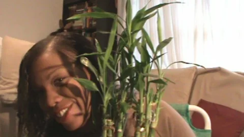 lucky bamboo.jpg