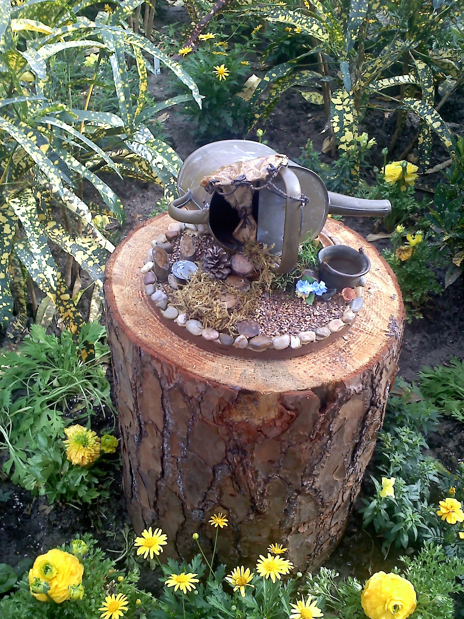 20120309151719.jpg