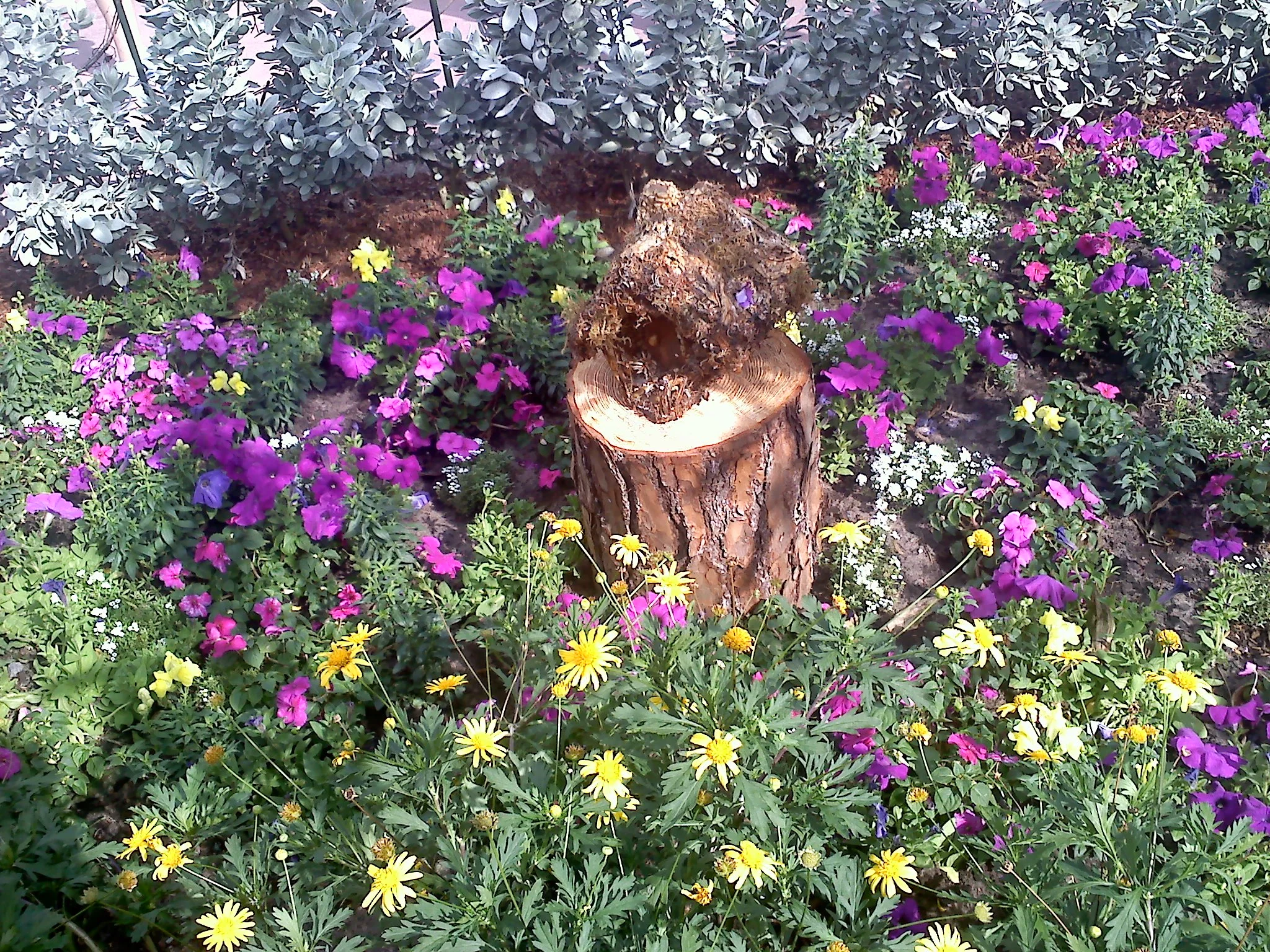 20120309151803.jpg