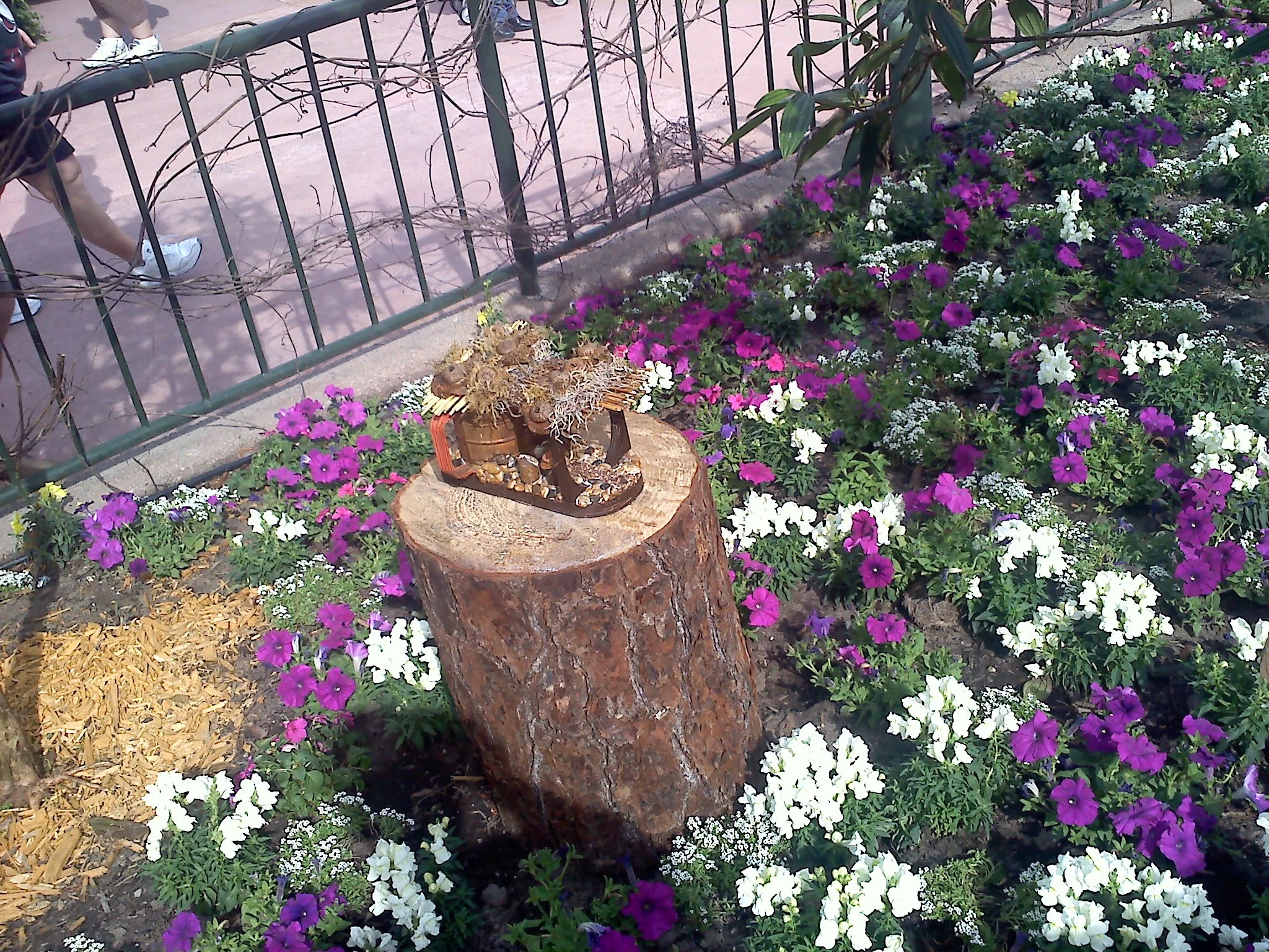 20120309151838.jpg