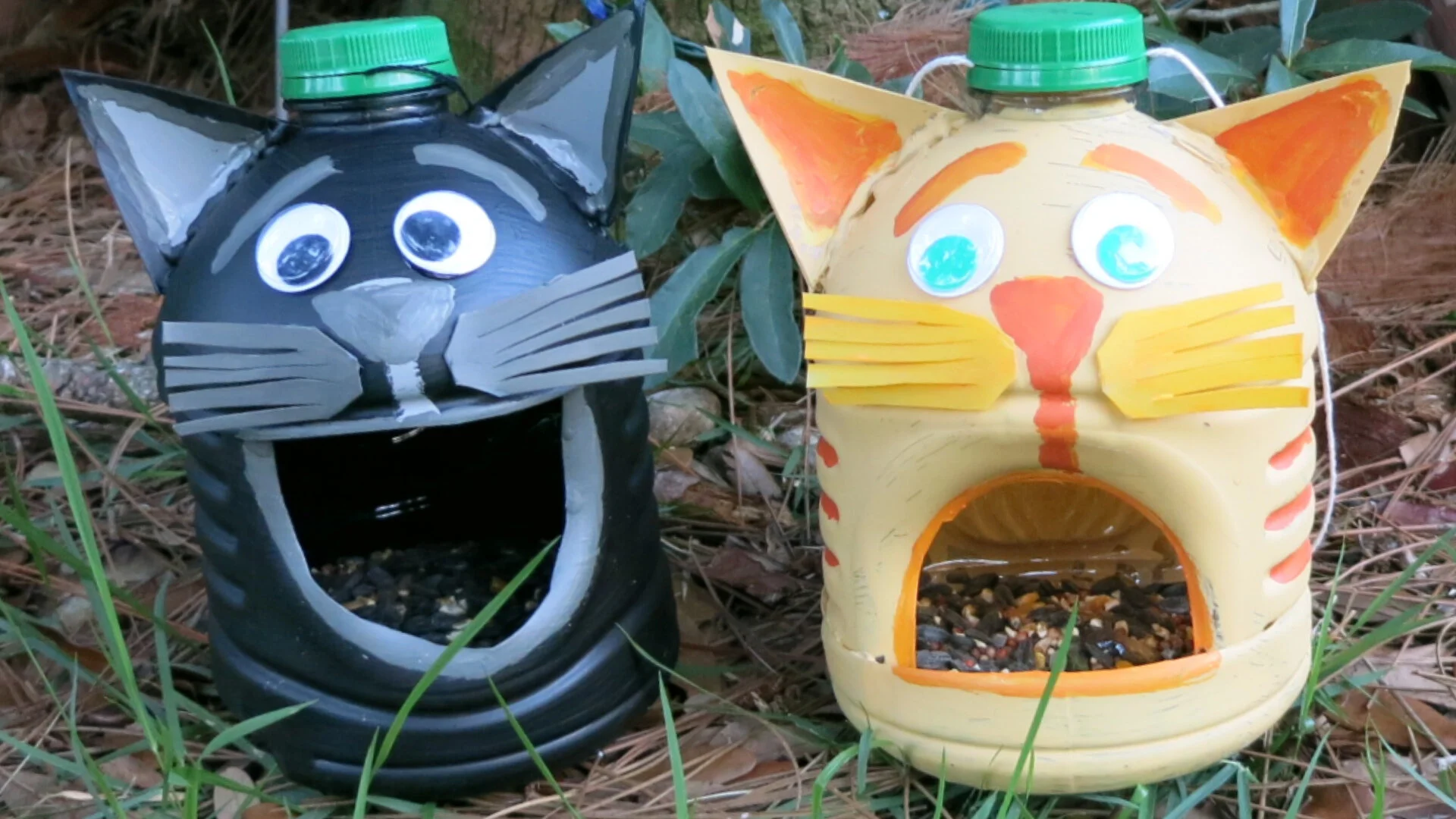 cat bird feeder