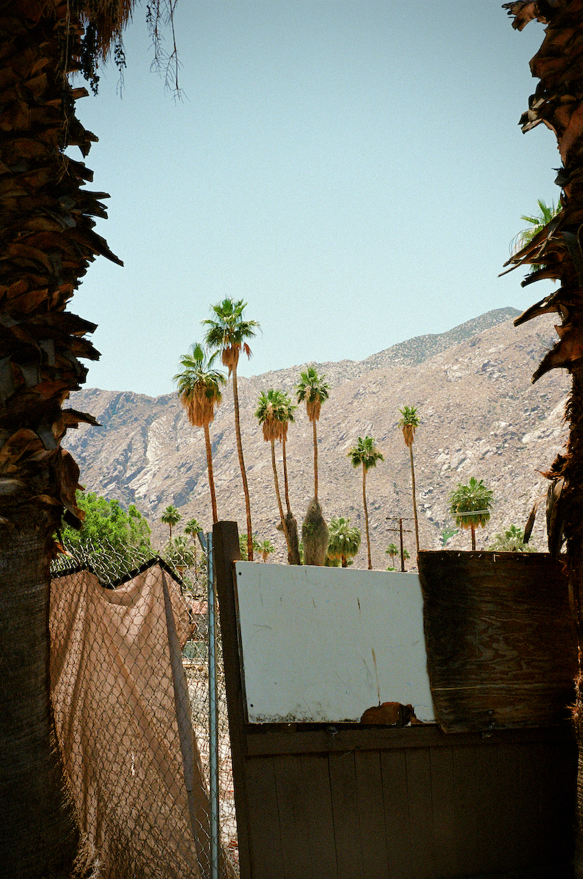 000071530006 copy.png