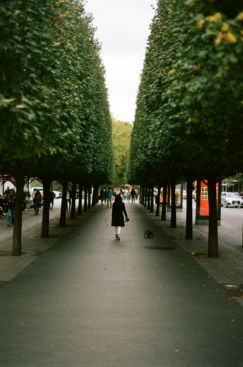 000008200027 Large.png