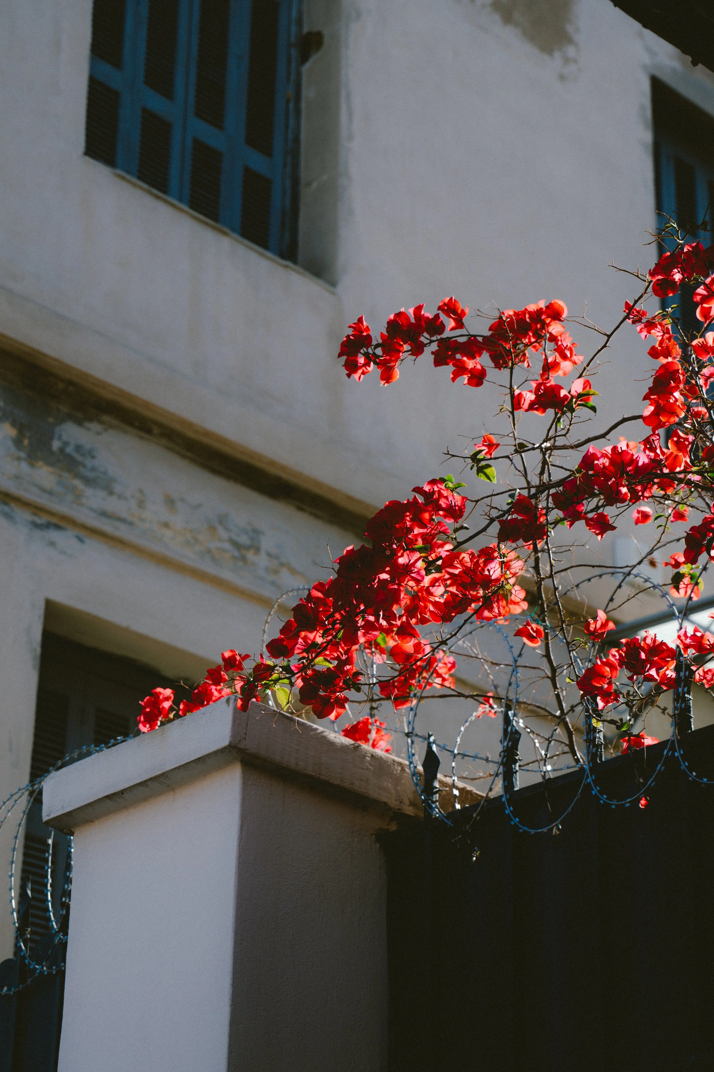 Athens Batch A-24.jpg