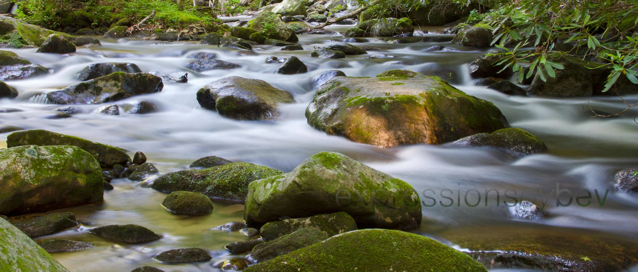 Stream 3 in Cades Cove - Smoky Mountains