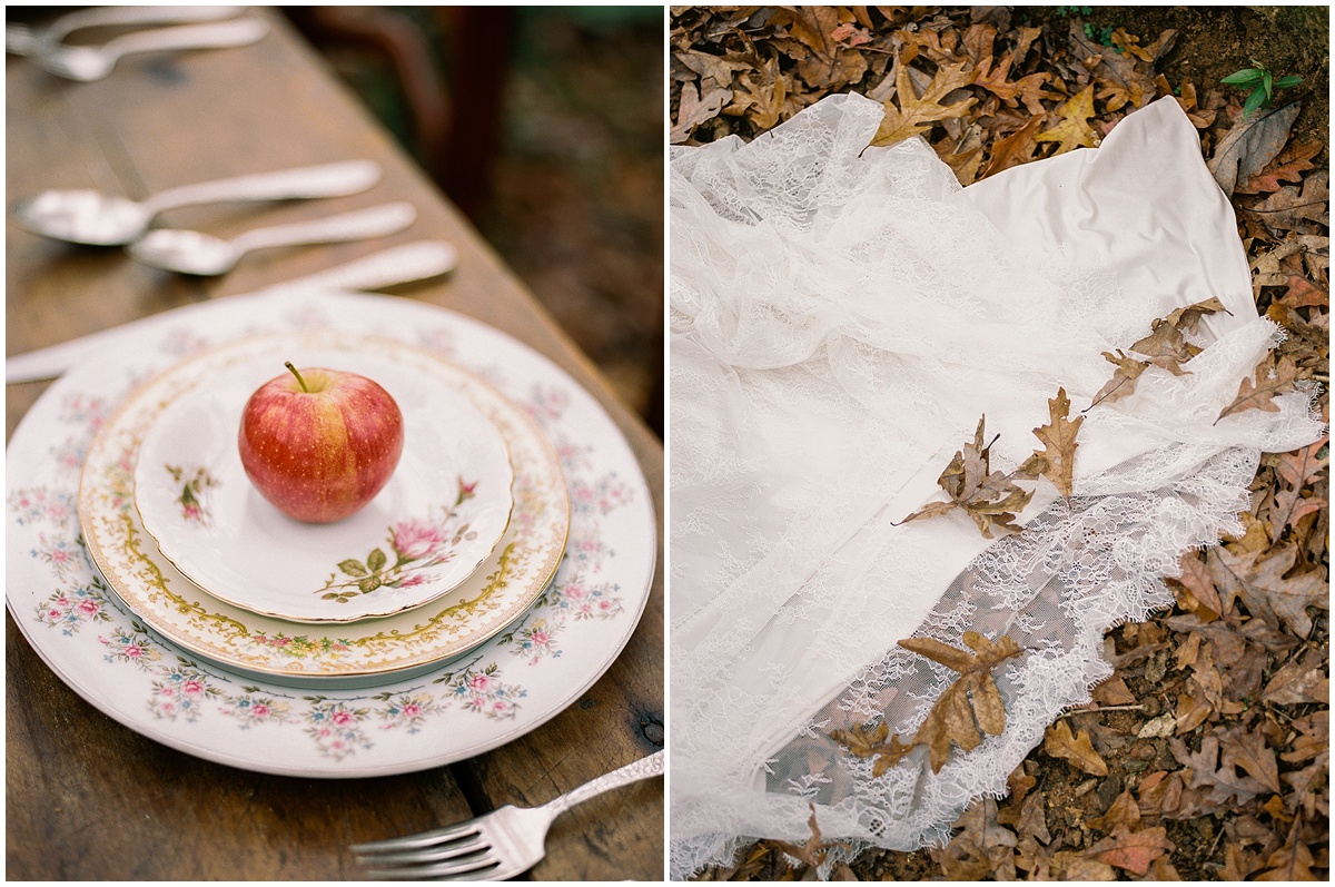 Abigail_Malone_Fall_Wedding_Knoxville_Film_Portra_400_Kodak_Mountain_Views_Abby_Elizabeth-16.jpg