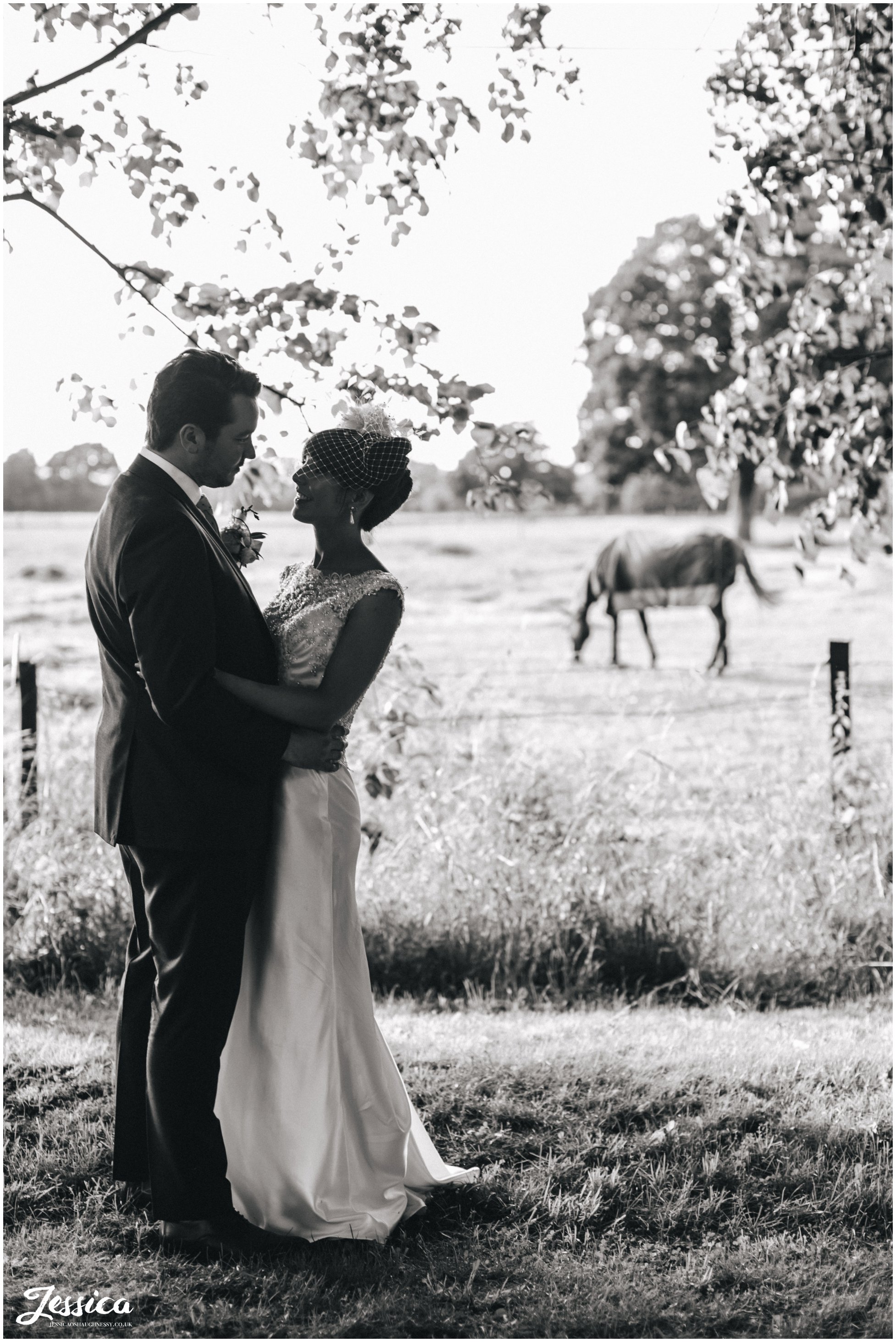 bride & groom overlooking horses at Trafford Hall - Chester Wedding Photography