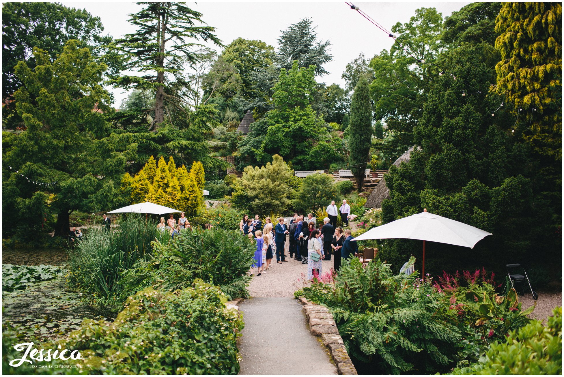 guests enjoy themselves in the gardens before the wedding ceremony at ness gardens