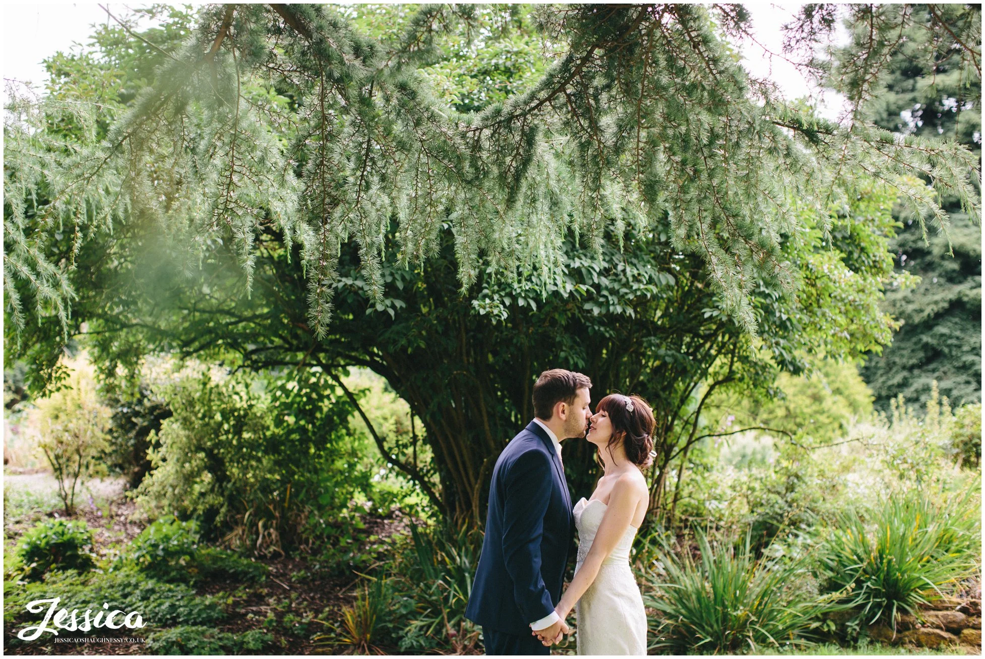 bride & groom kiss under the trees after their wedding ceremony at ness gardens