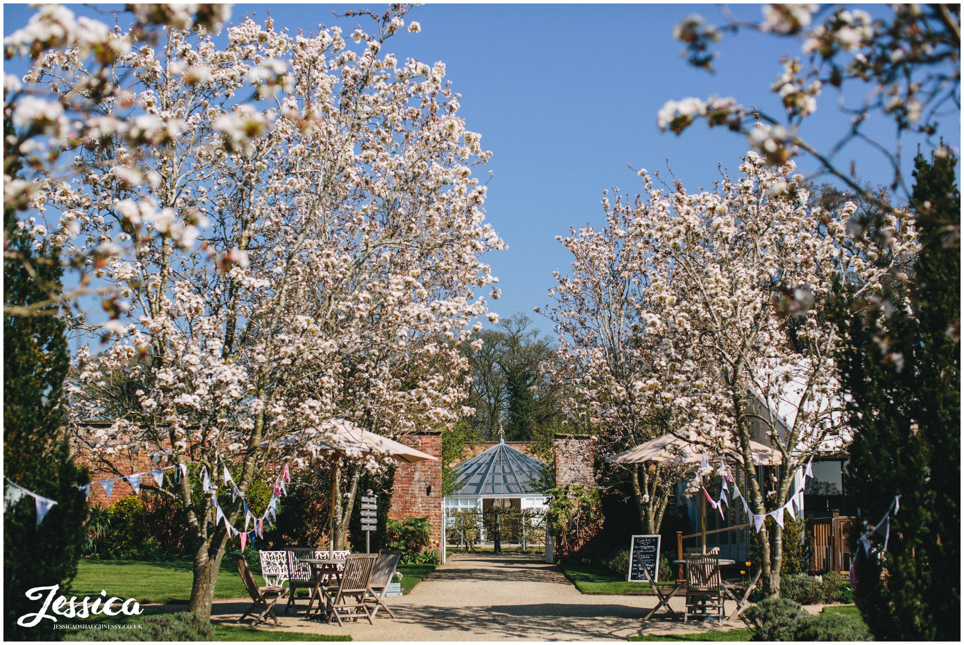 the glass house at Combermere Abbey, lined with blossom trees