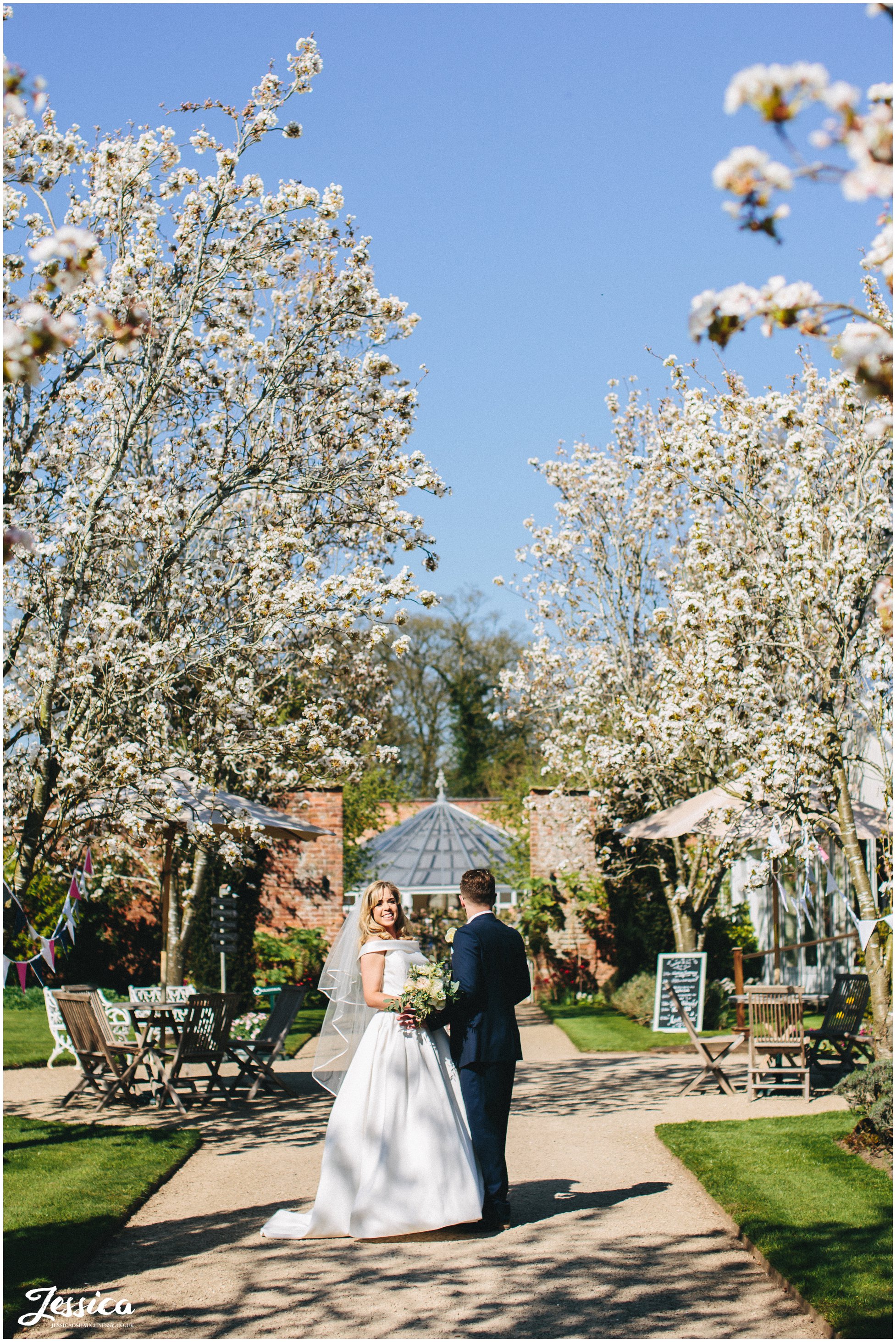 couple stand between blossom tree's on their wedding day at Combermere Abbey - shropshire wedding photographer