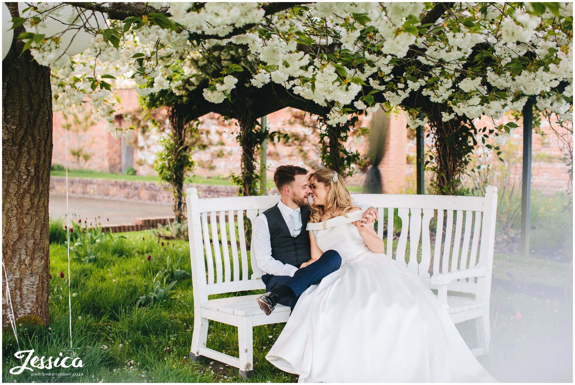 newly wed's kiss on a bench under the blossom trees