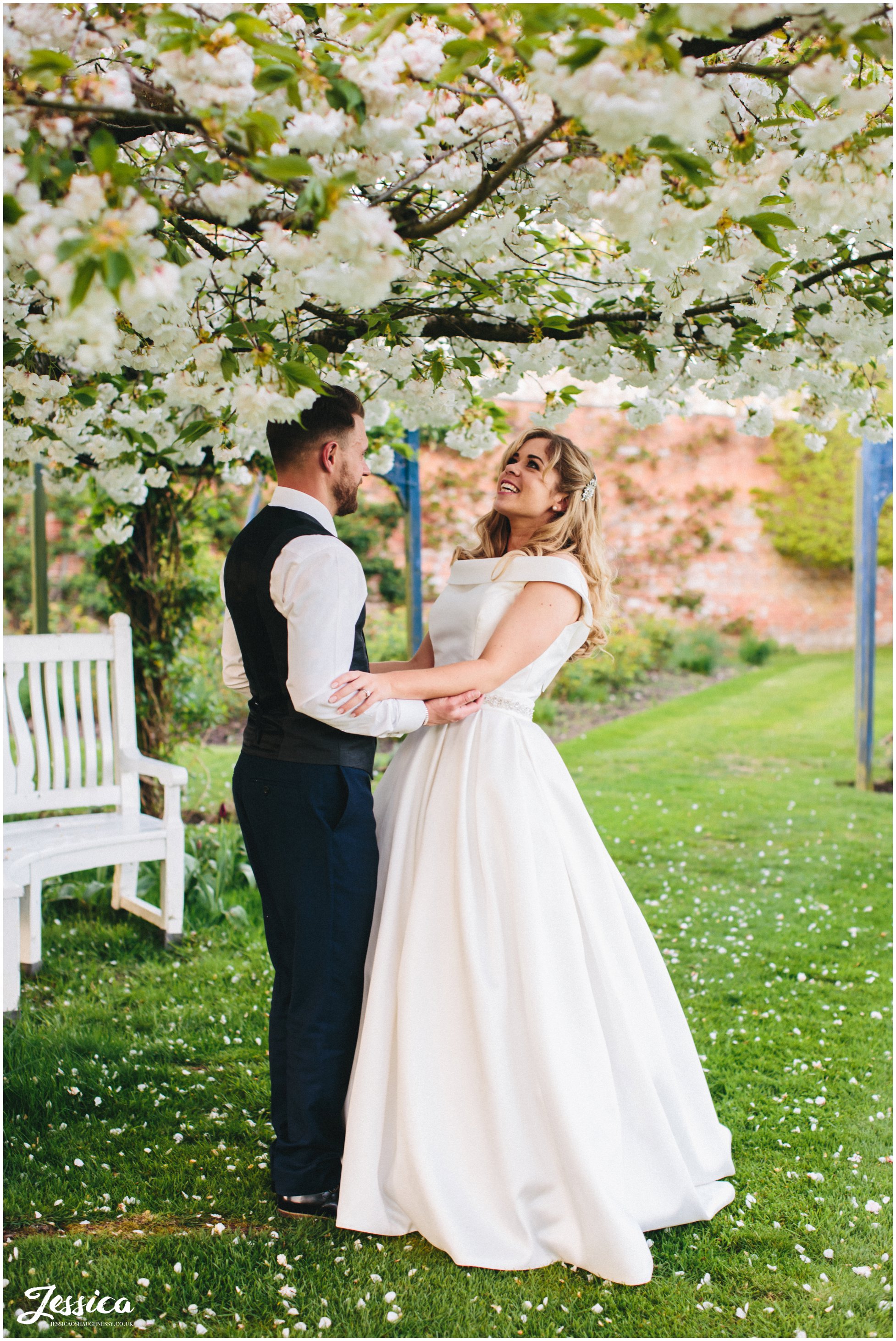 bride & groom under the Combermere Abbey blossom trees in shropshire