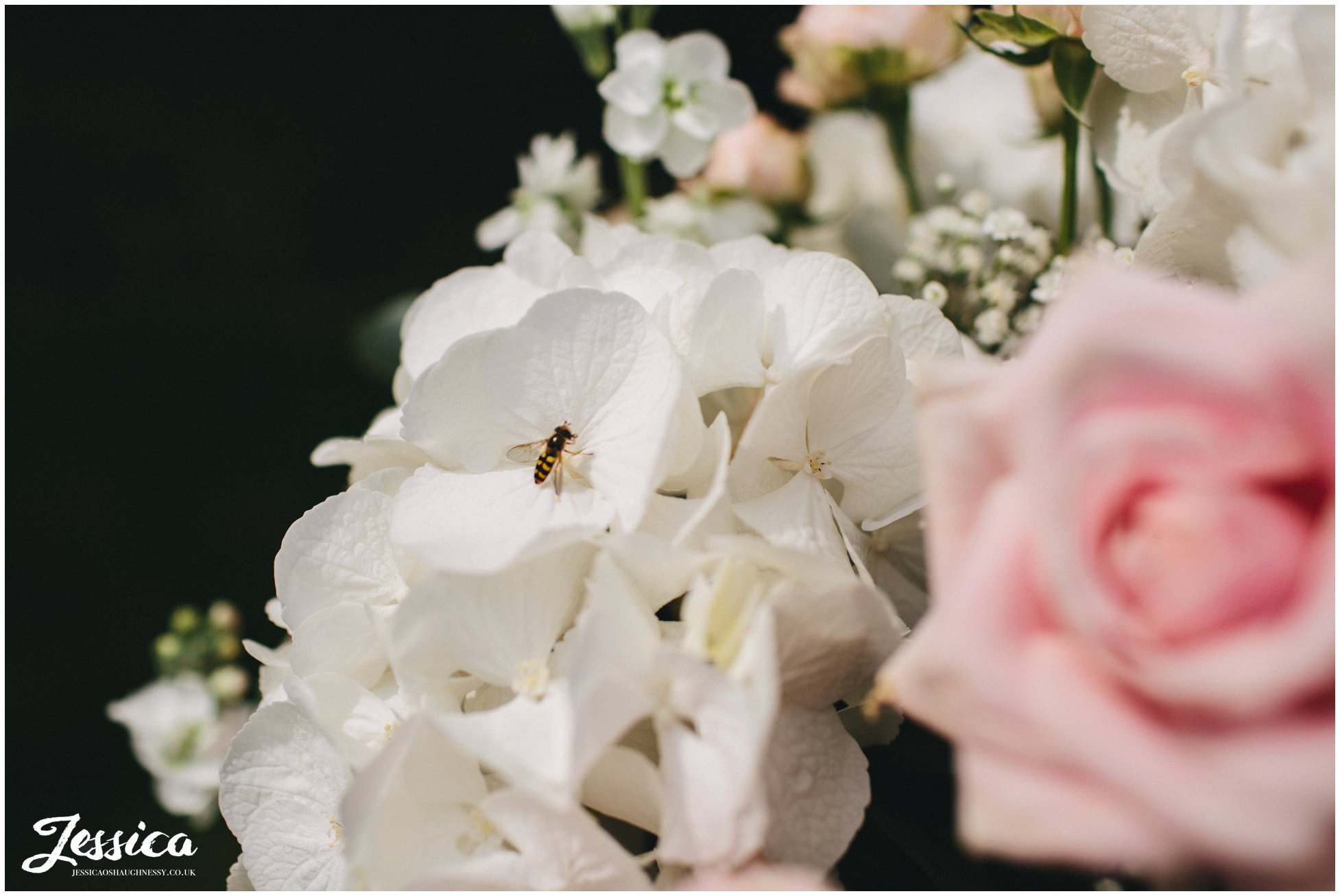 bee lands on flowers set up for the outdoor ceremony at nunsmere hall