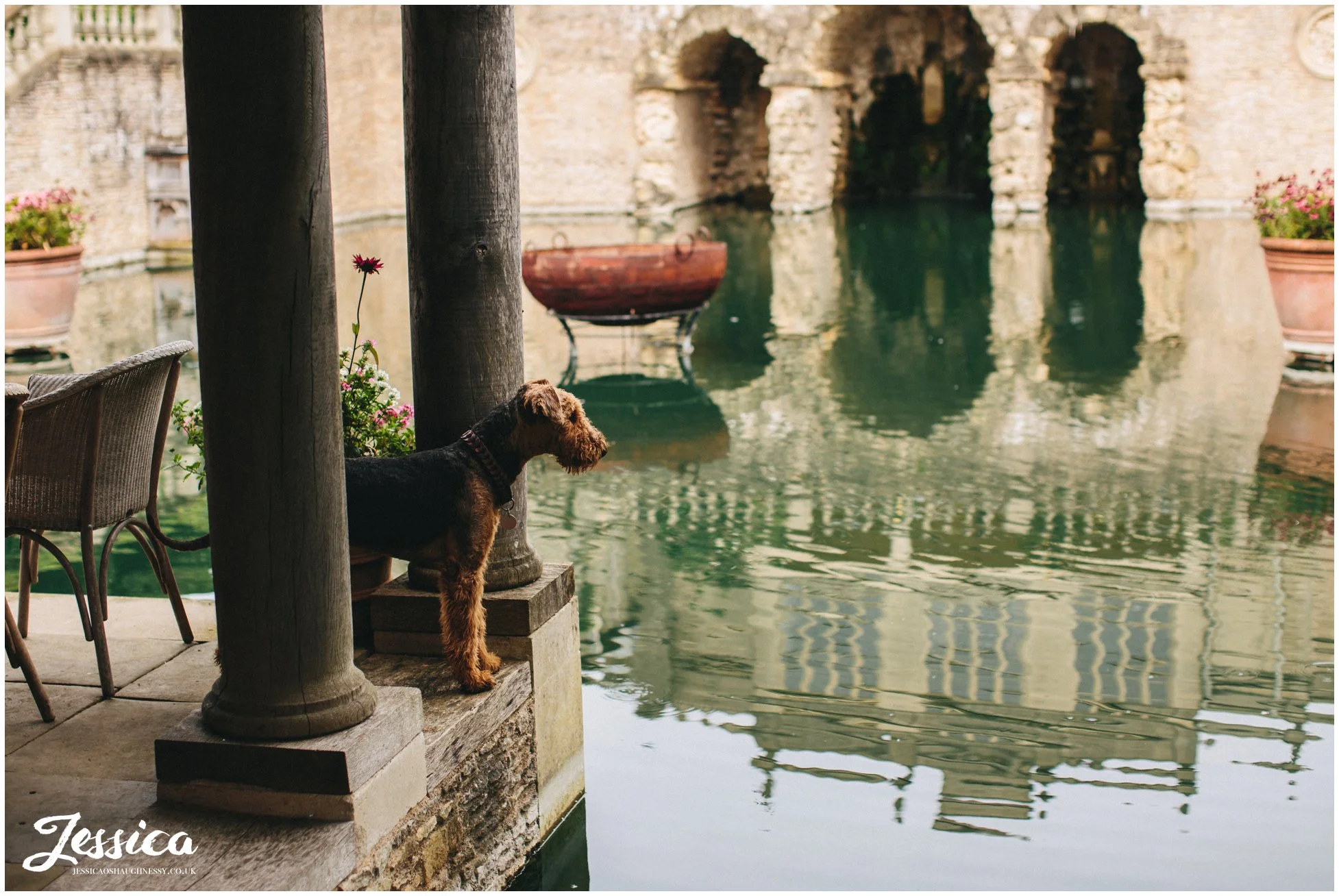 dog hiding under the boathouse before the ceremony starts at the lost orangery