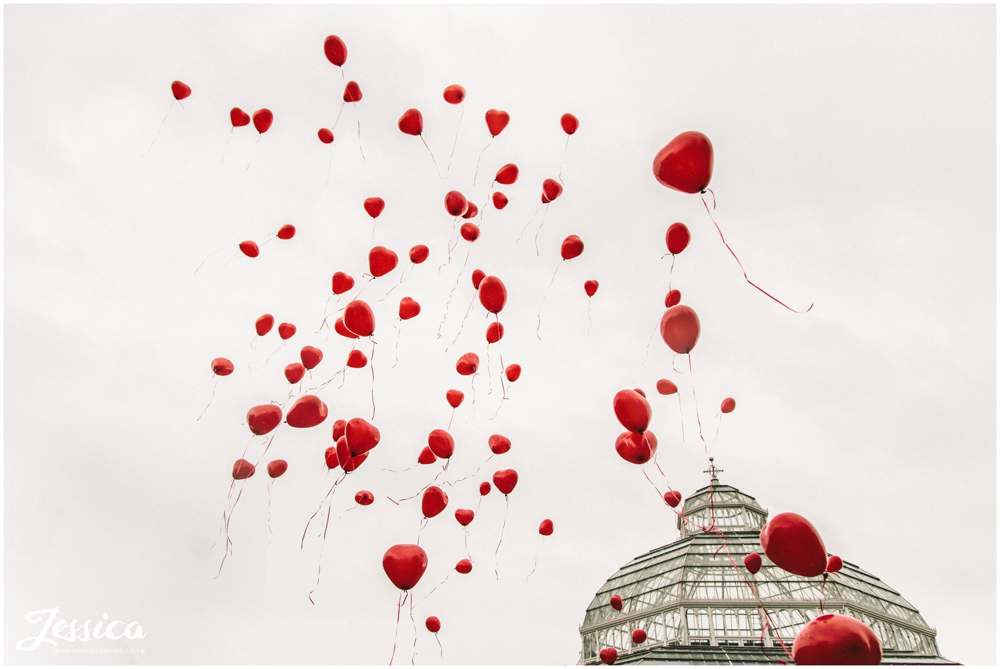 99 red balloons released at sefton palm house in liverpool