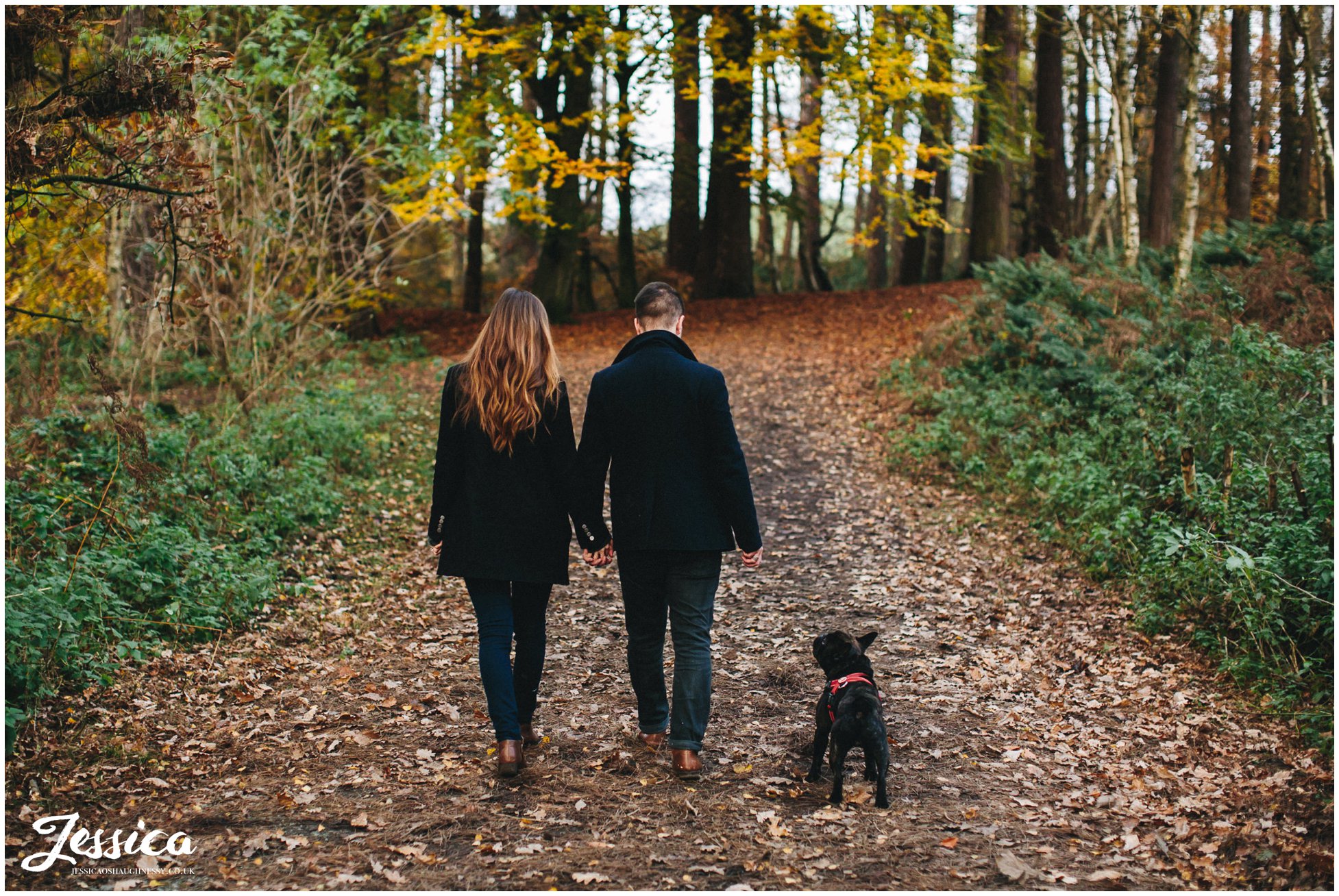 couple walking with french bulldog in delamere forest