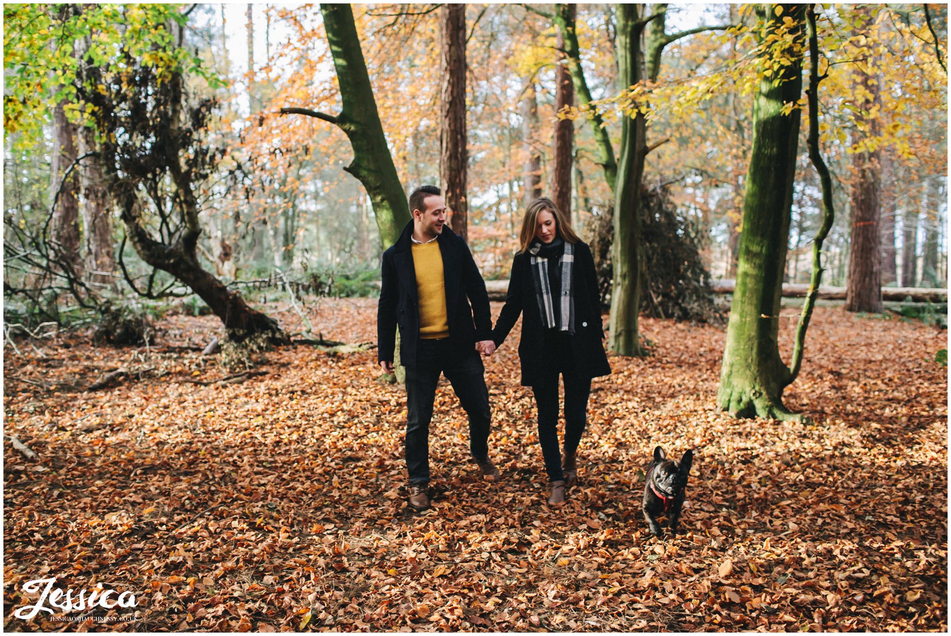 couple walk with their dog through autumn leaves