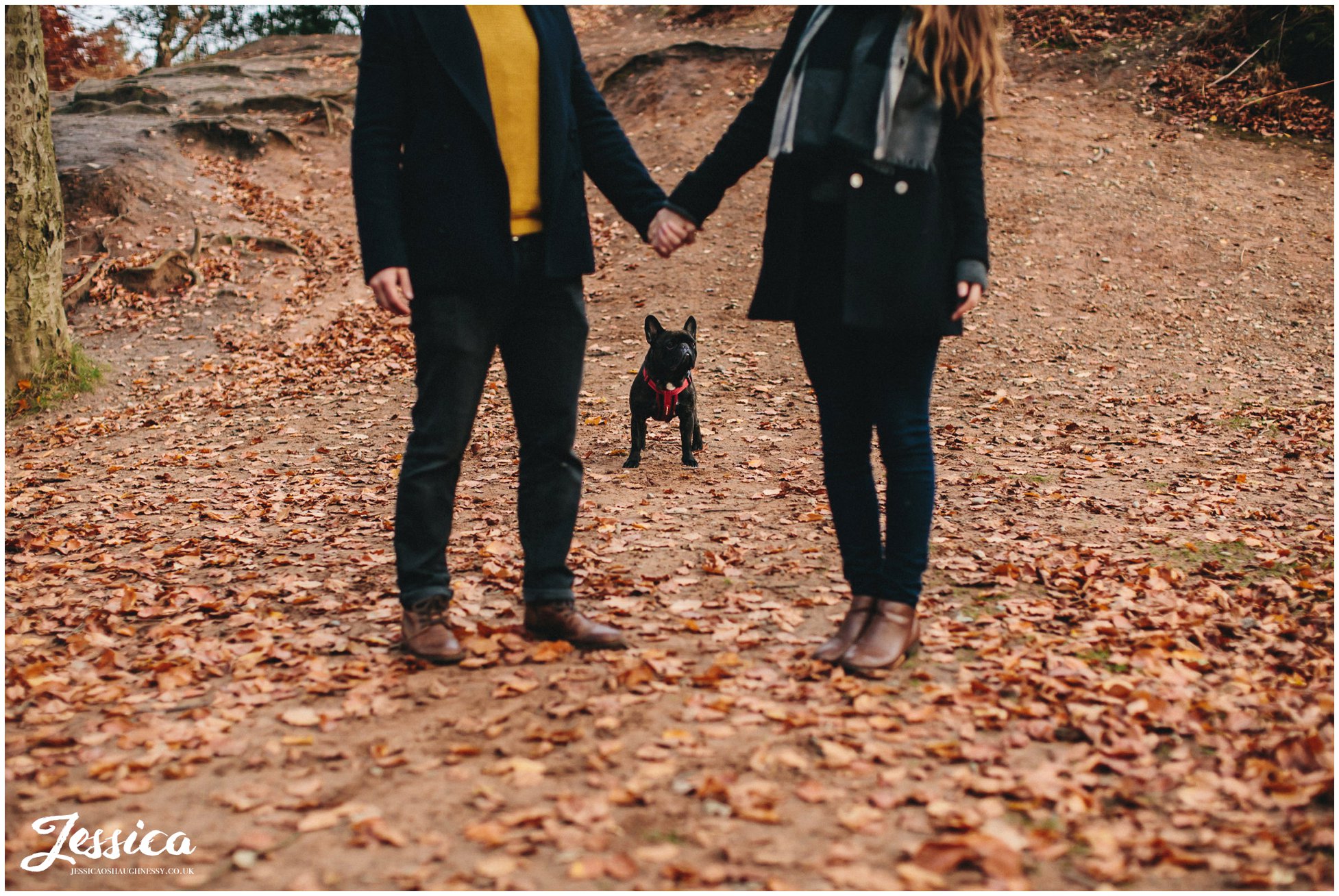 french bulldog between couple holding hands