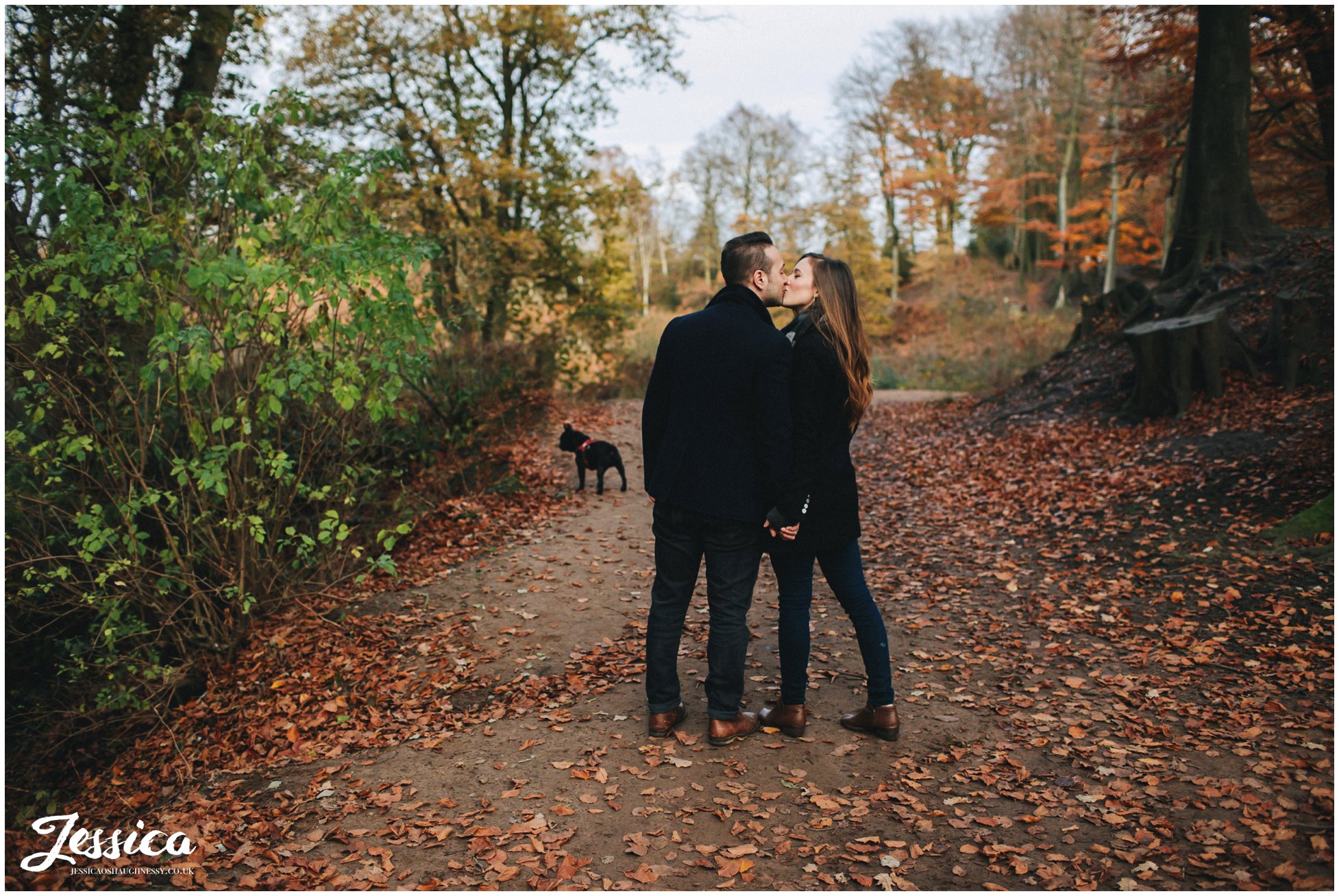 couple kiss under the trees at delamere forest in cheshire