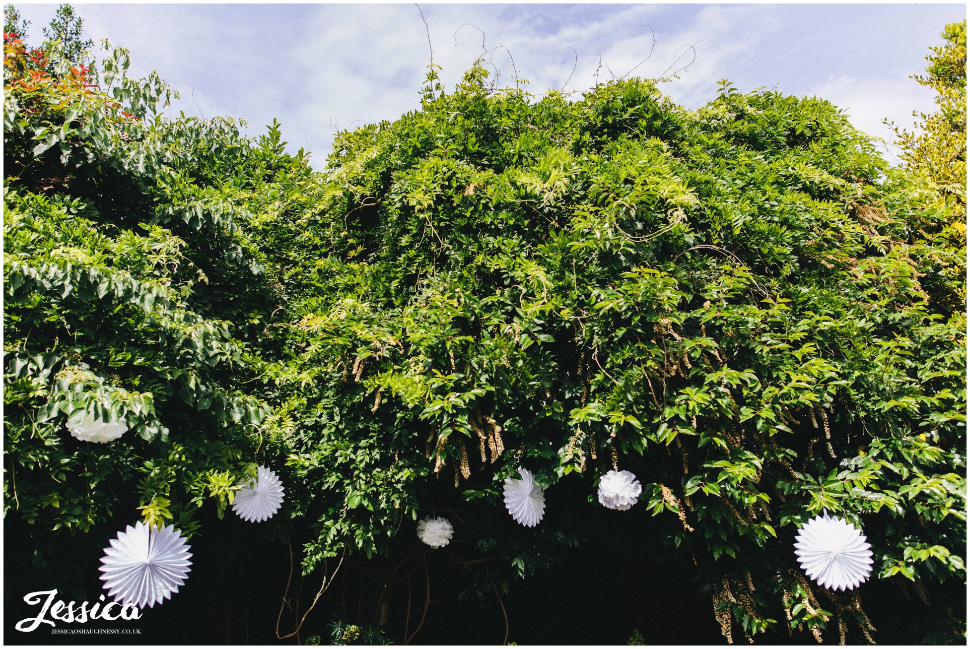 paper lanterns decorate the roof garden at belle epoque wedding venue