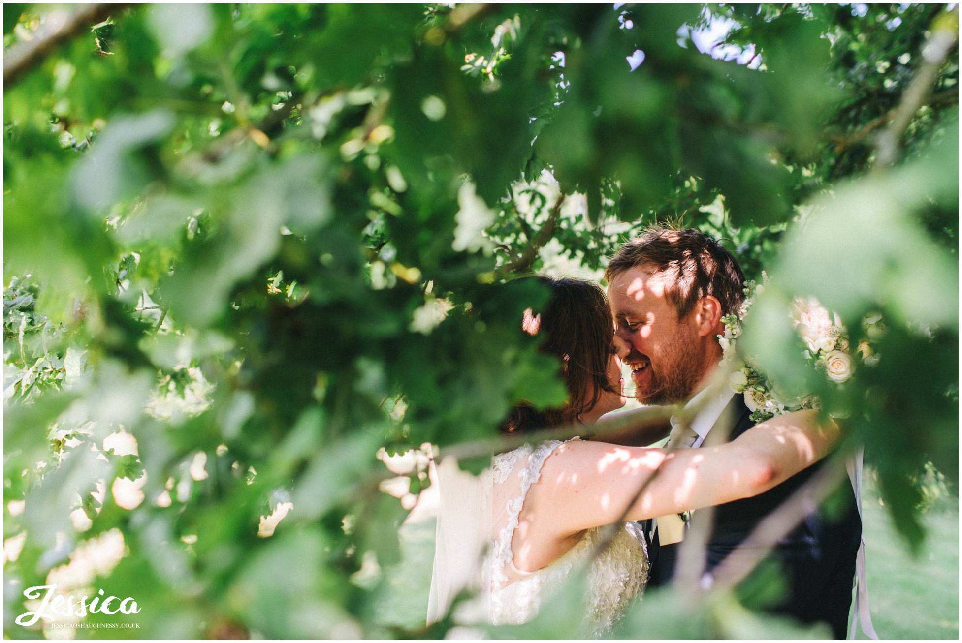 the newly wed's kiss through a gap in the leaves