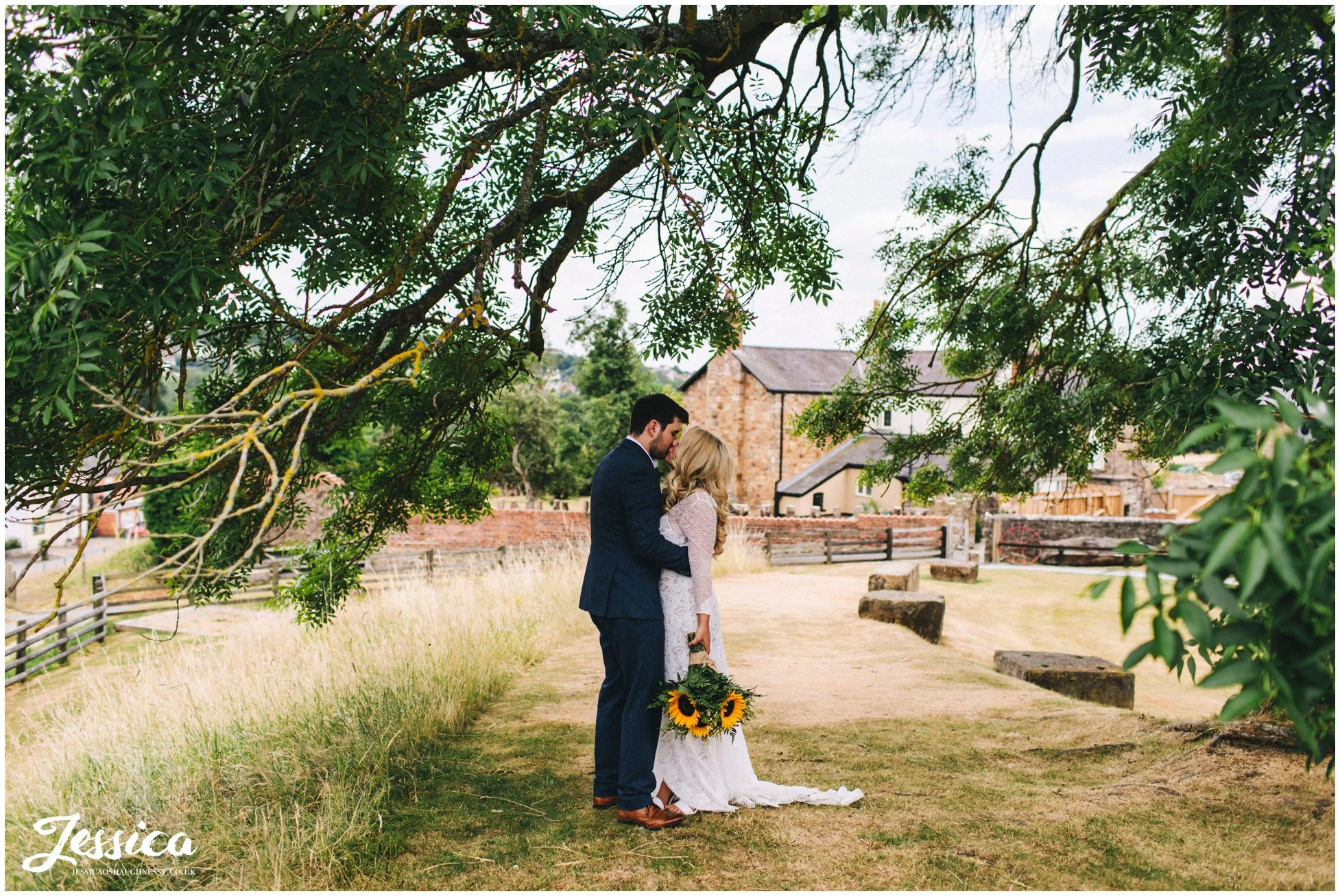 couple kiss under the tree