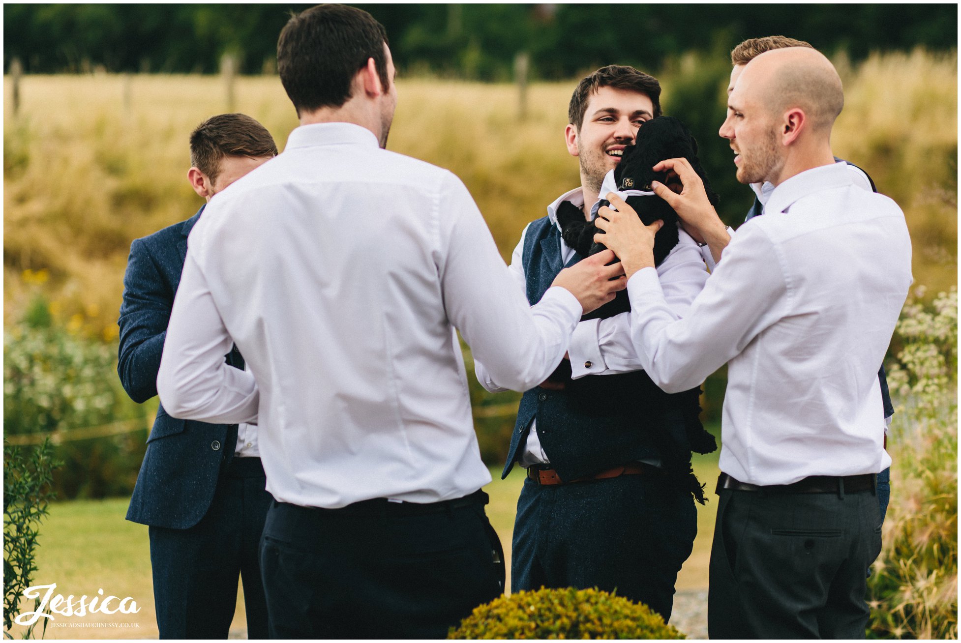 the groom hold one of the puppies