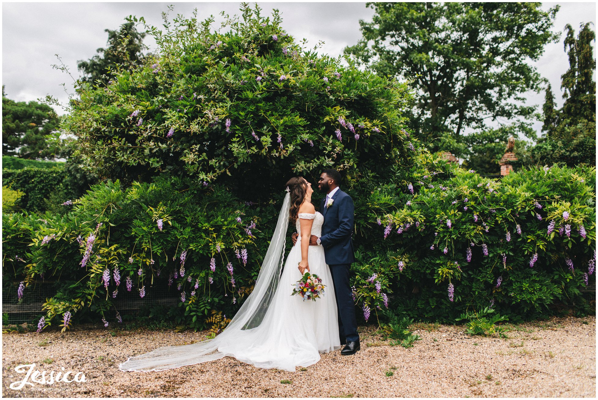 the couple kiss in front of wisteria  