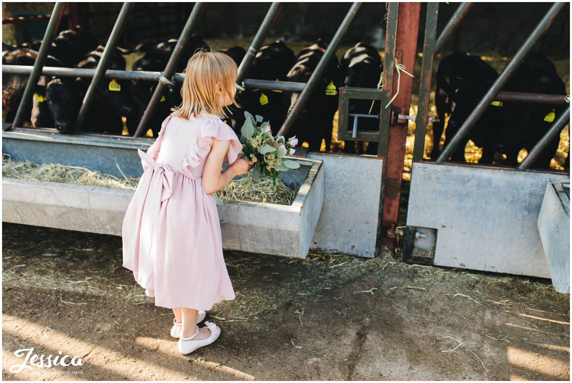 flower girls looks at the cows